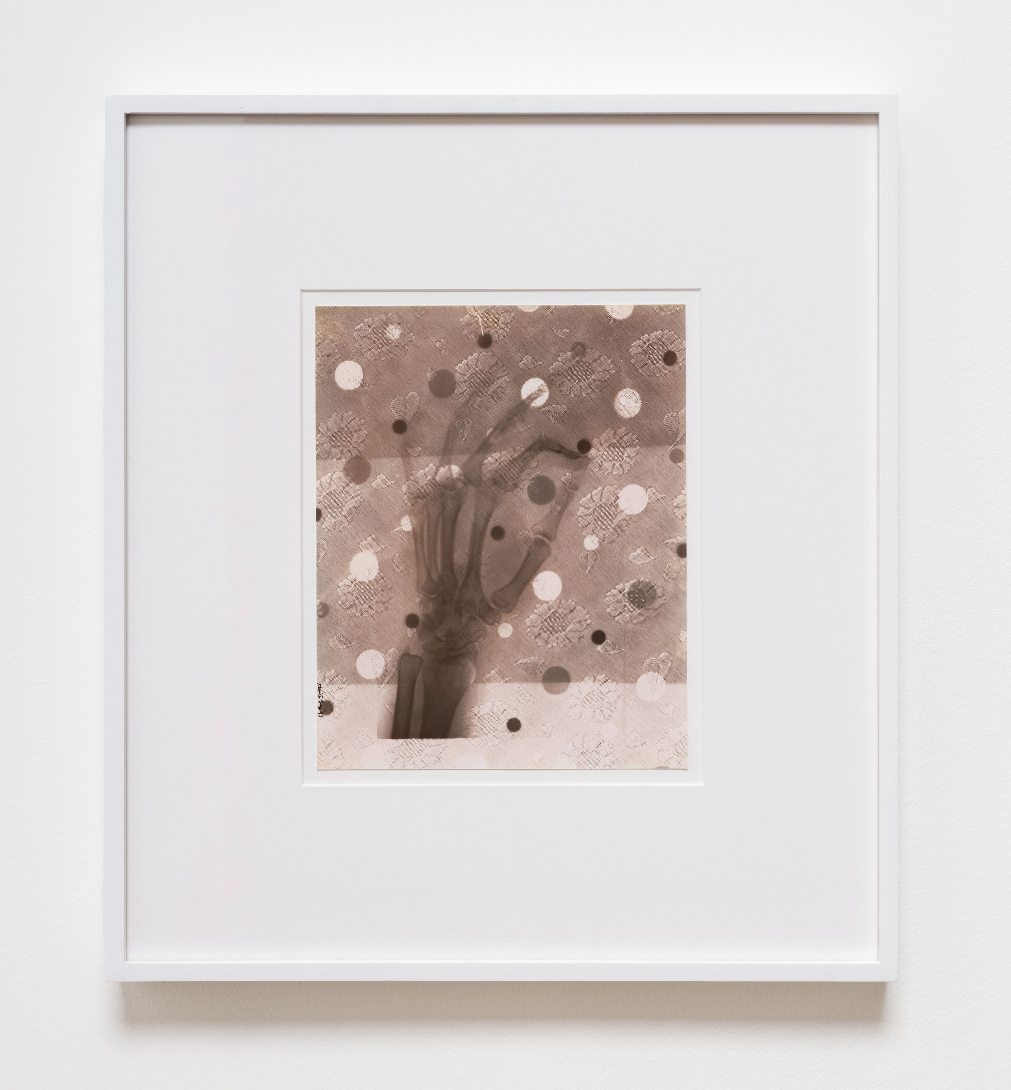 Kunié Sugiura, X-ray Island at Moskowitz Bayse, photo 26