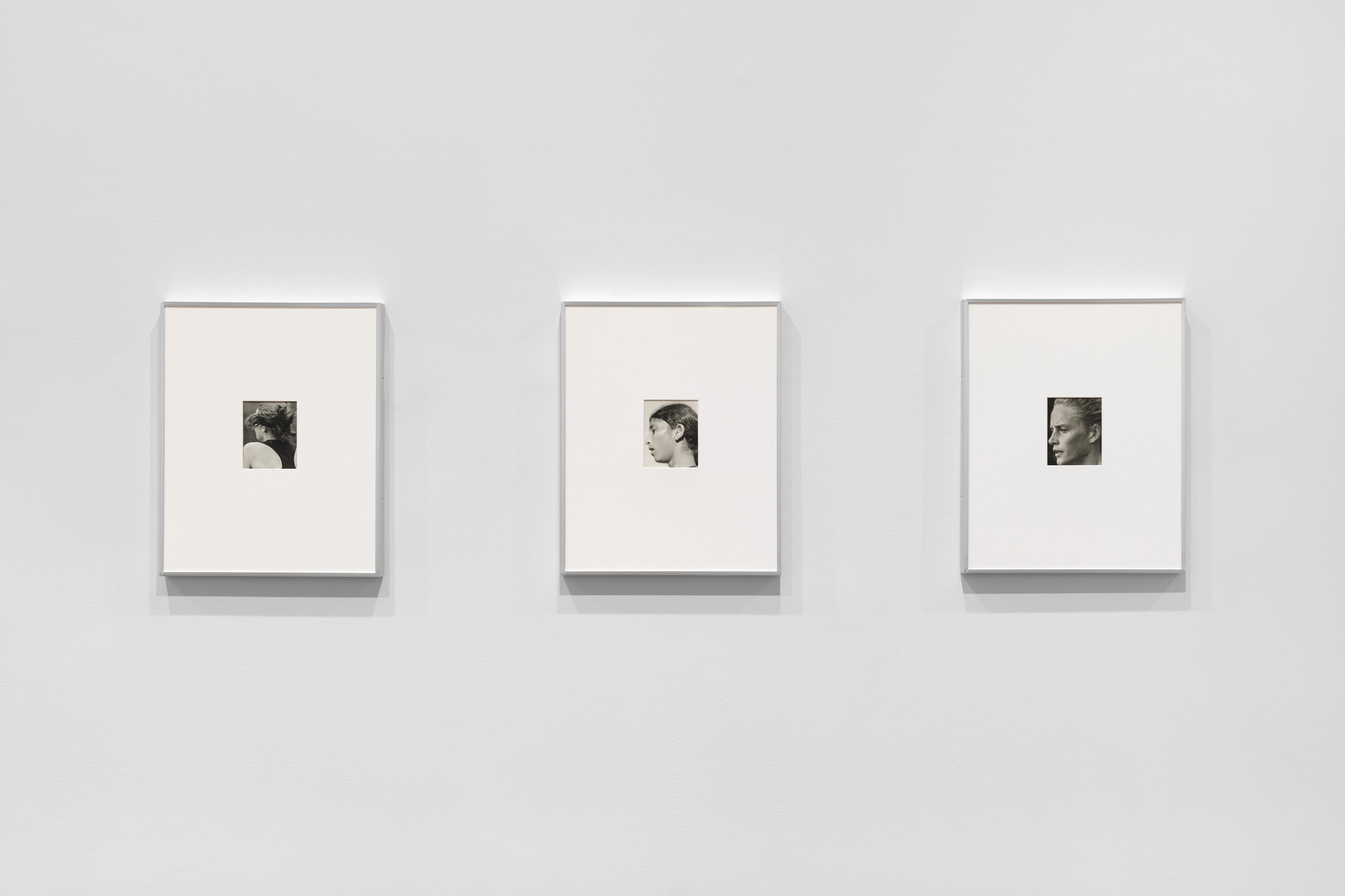 Sam Contis, Phases at American Academy of Arts and Letters, photo 11