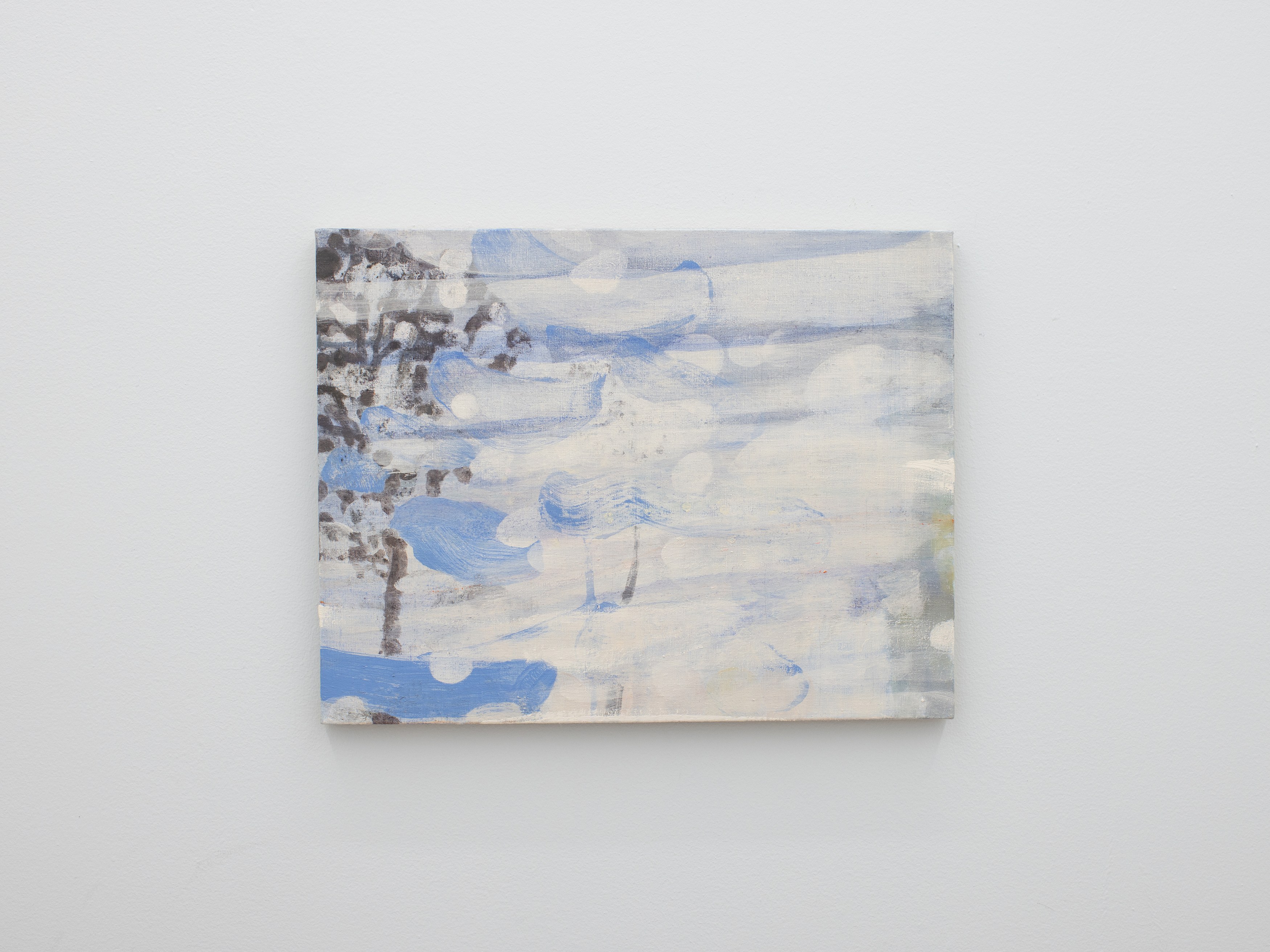 Rina Yoshizawa, Washed by the Wind at King's Leap, photo 22