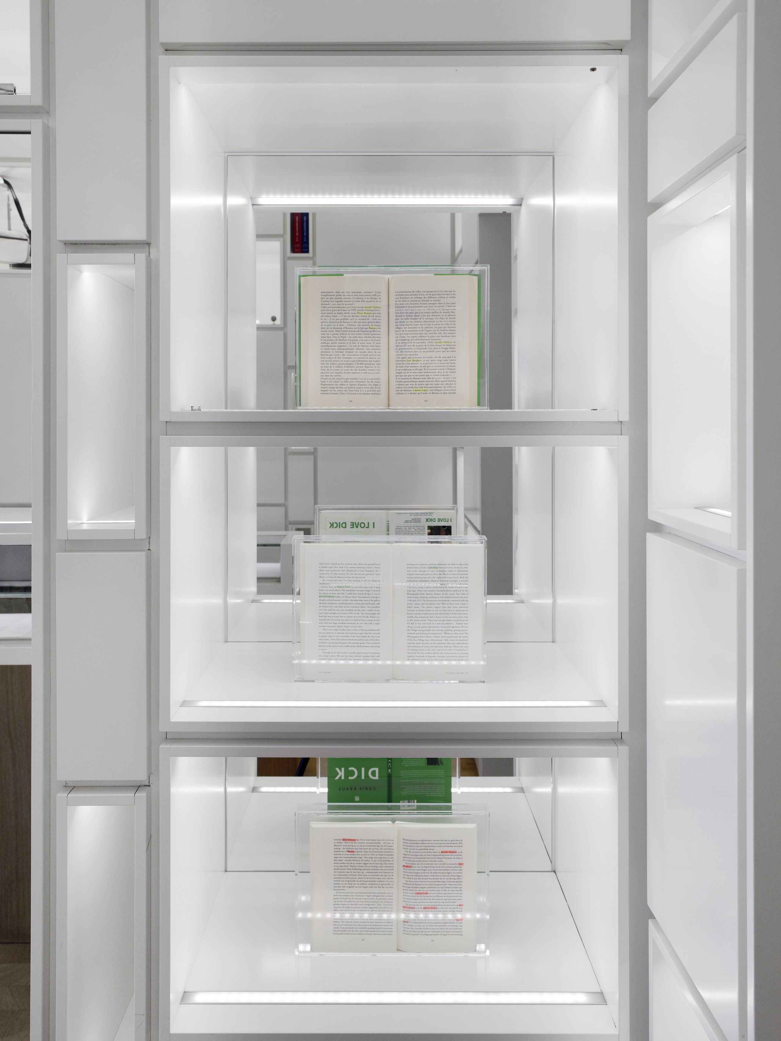 Jef Geys, Catalogue Raisonnable at Good Books, photo 4