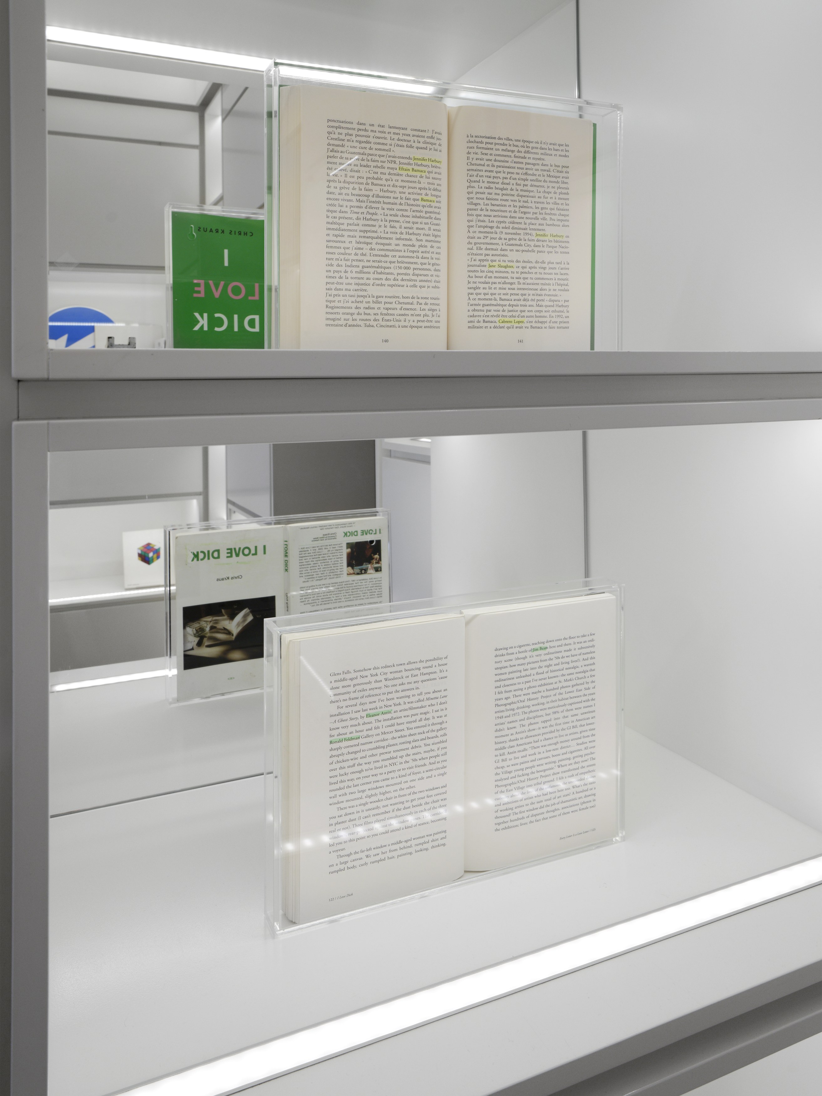 Jef Geys, Catalogue Raisonnable at Good Books, photo 5