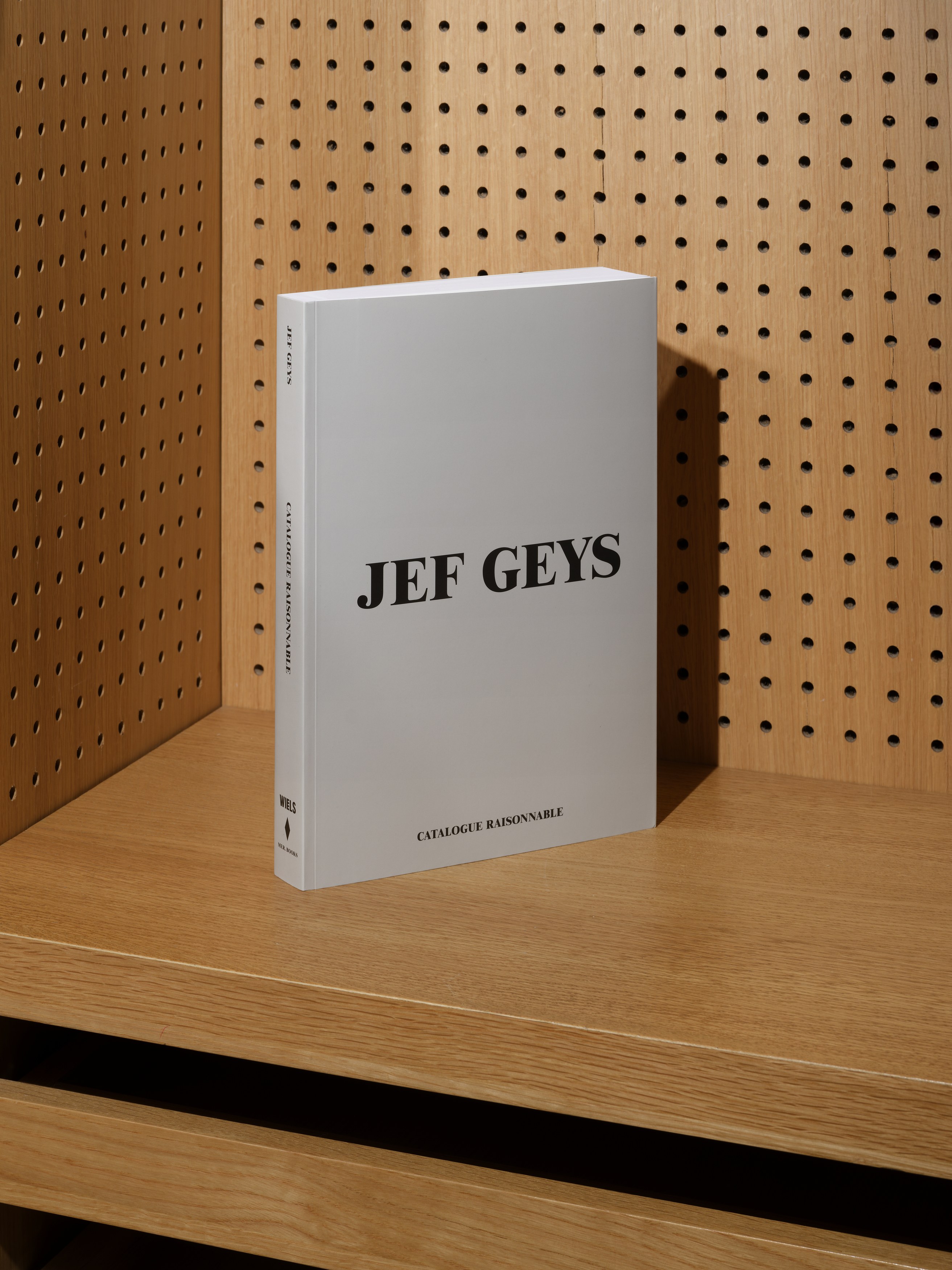 Jef Geys, Catalogue Raisonnable at Good Books, photo 6