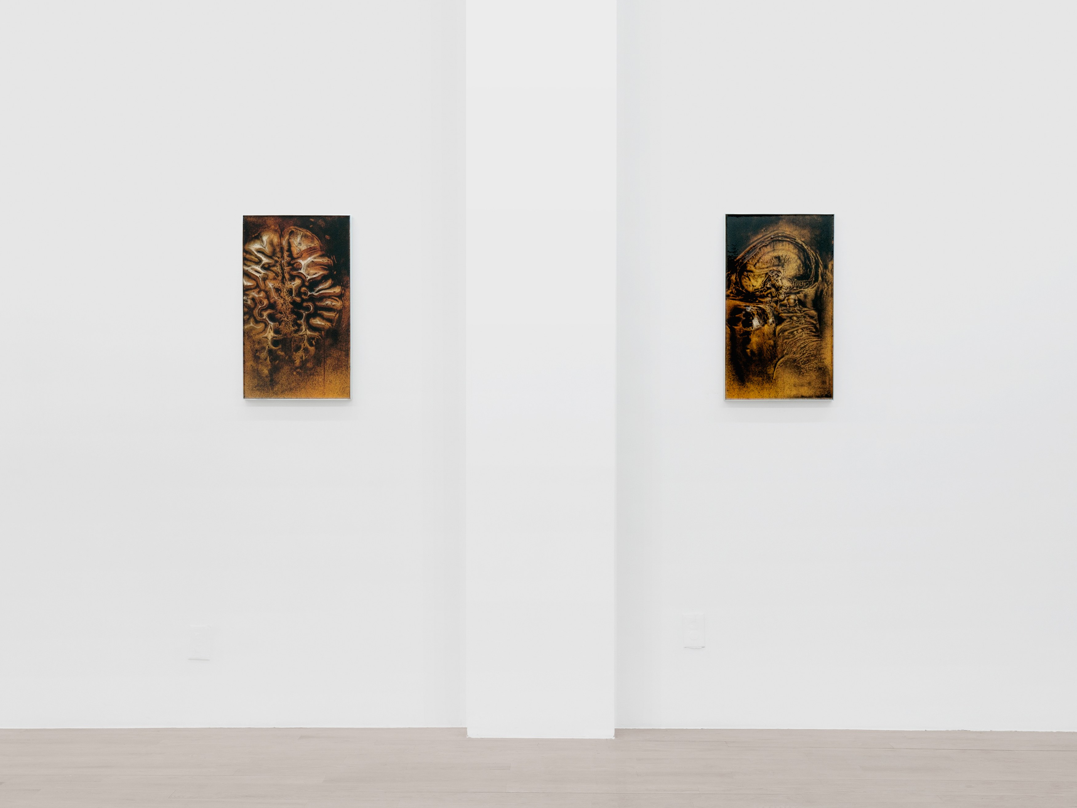 Installation view 5