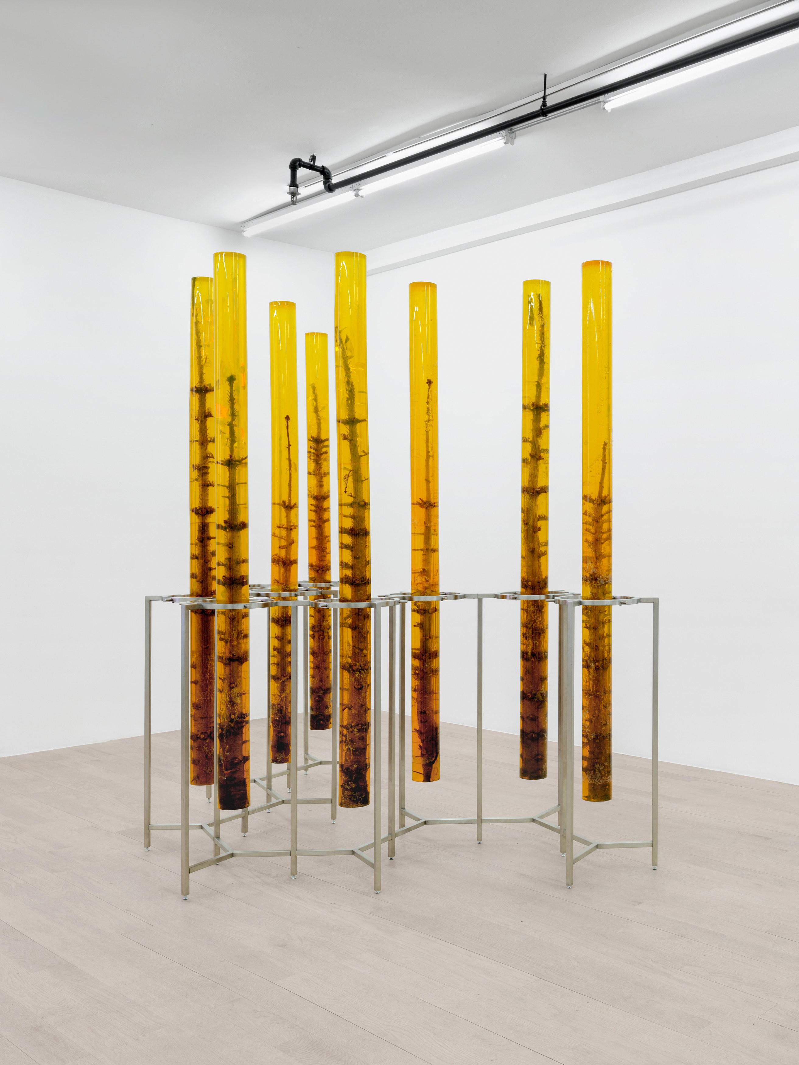 Installation view 2