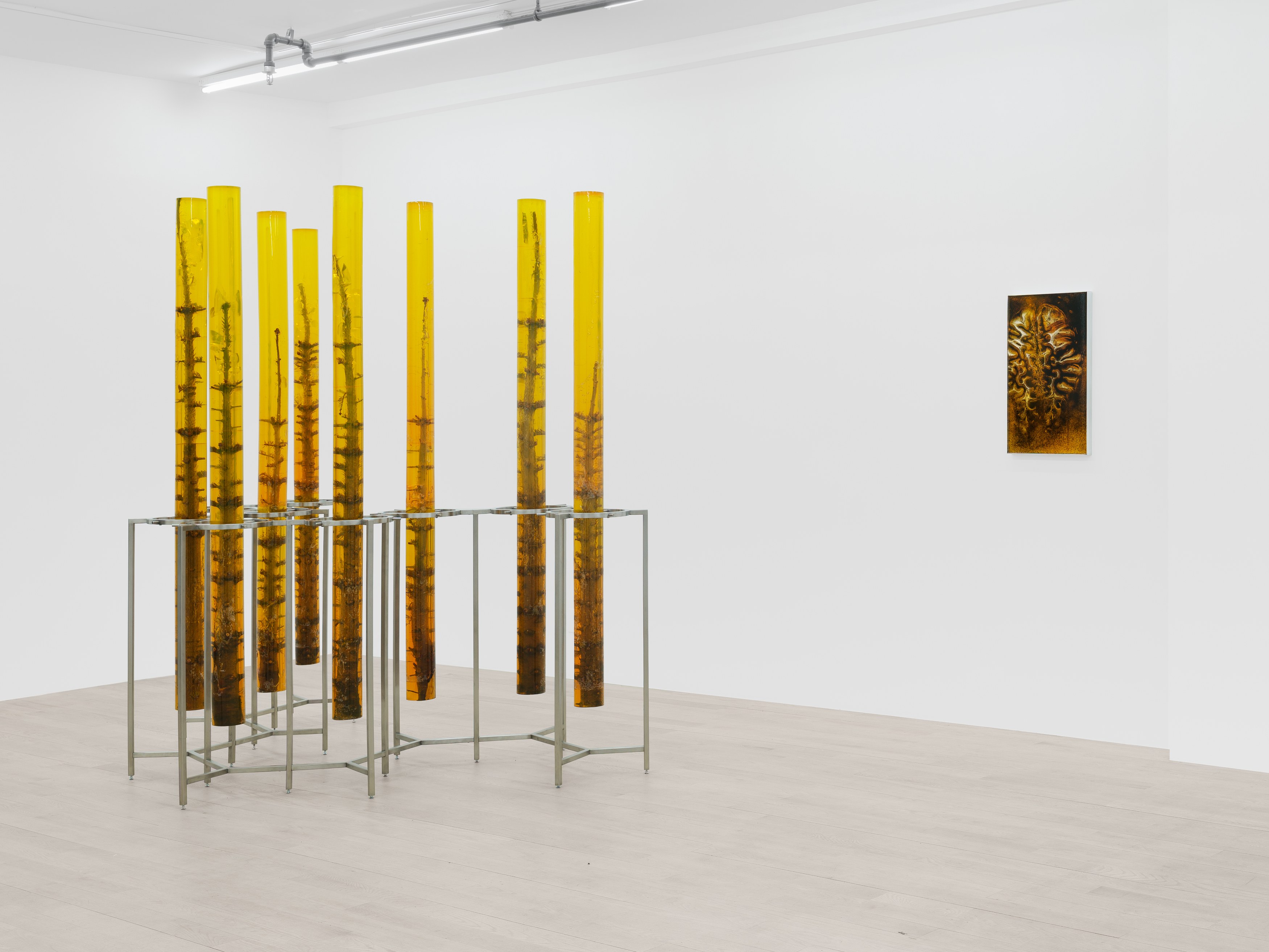Installation view 4