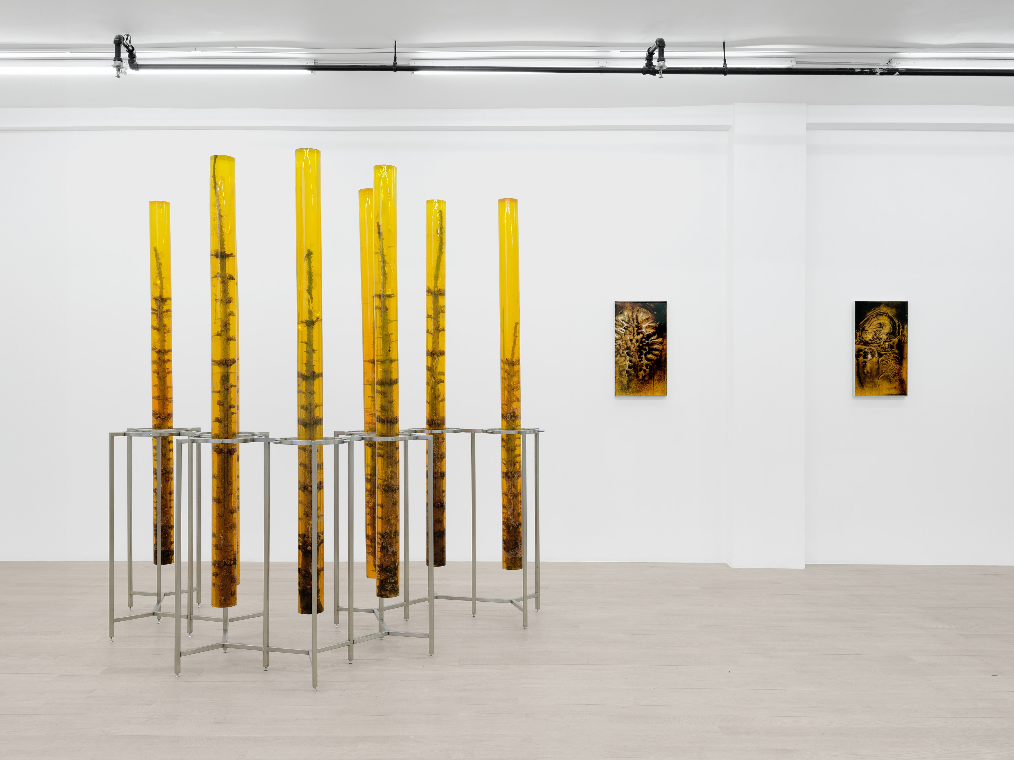 Installation view 6