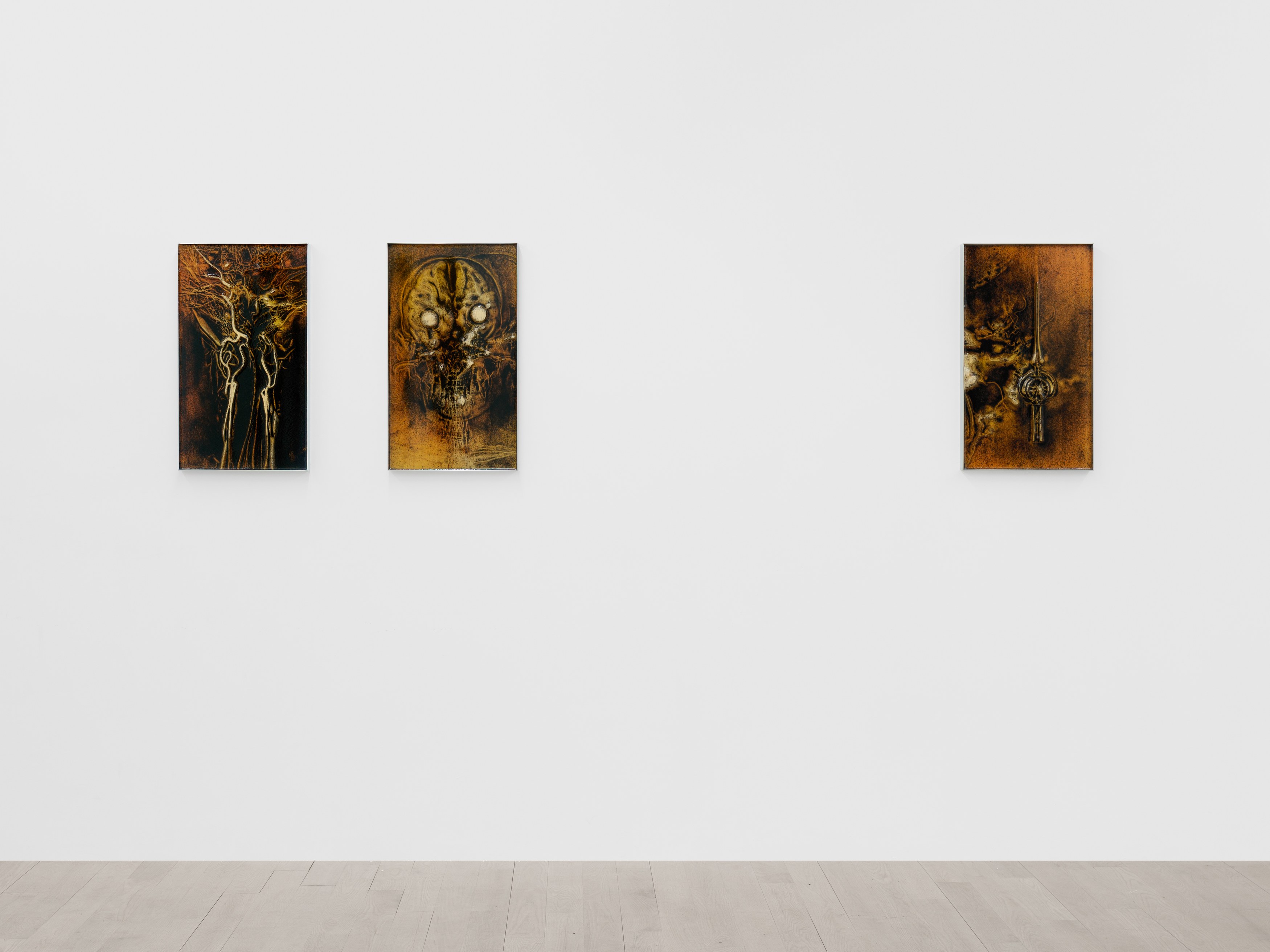Installation view 8
