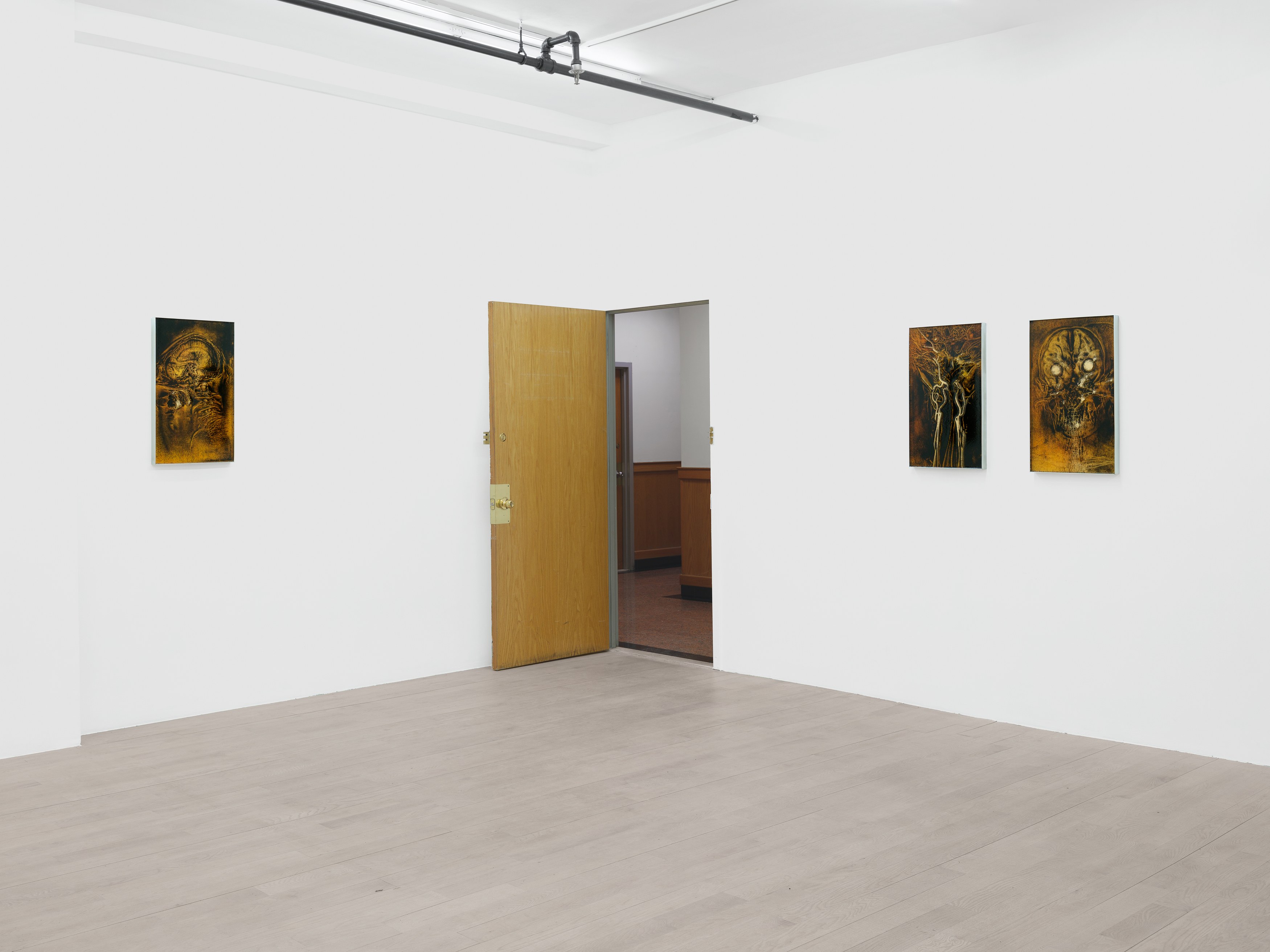 Installation view 7