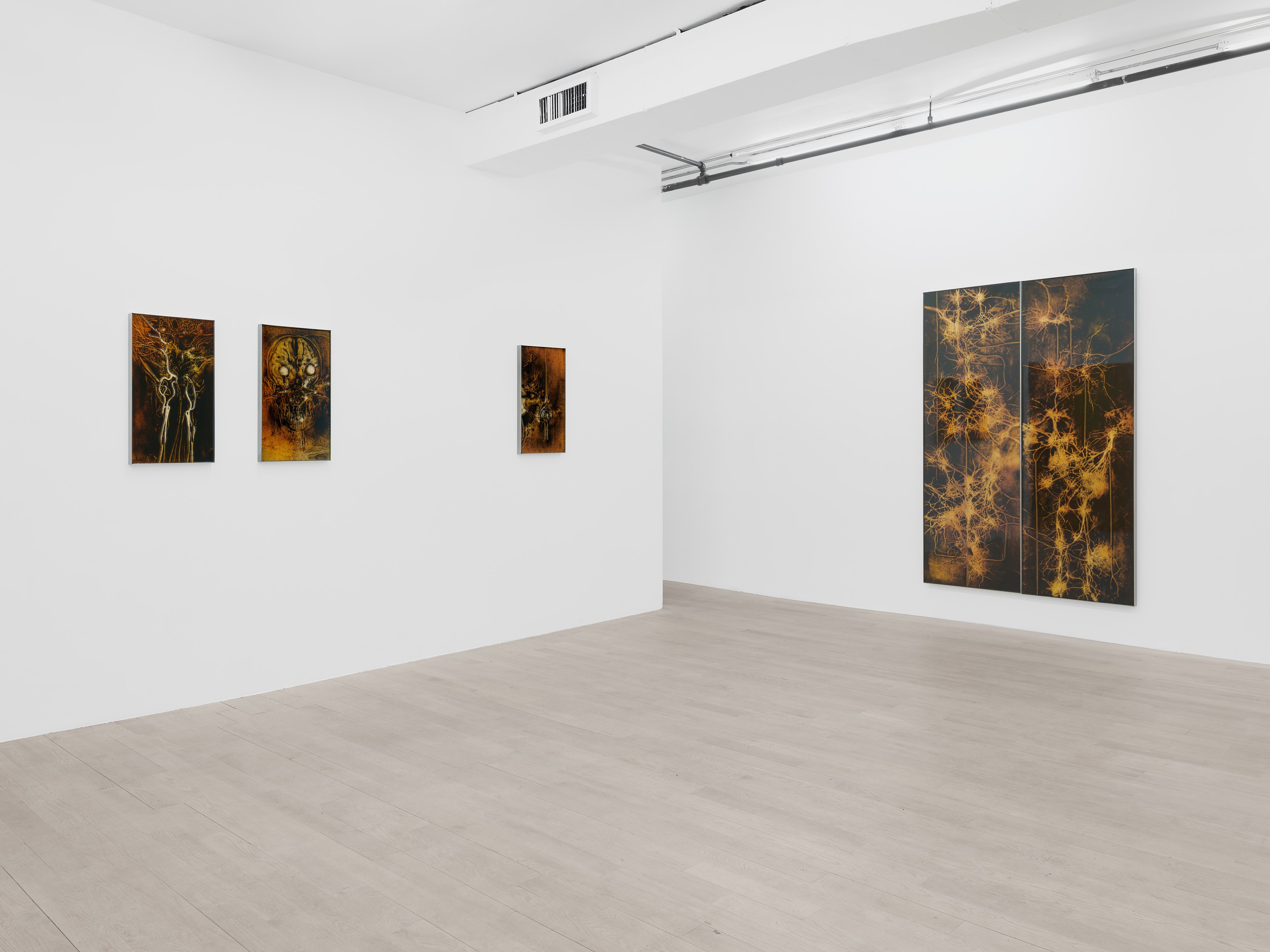 Installation view 9