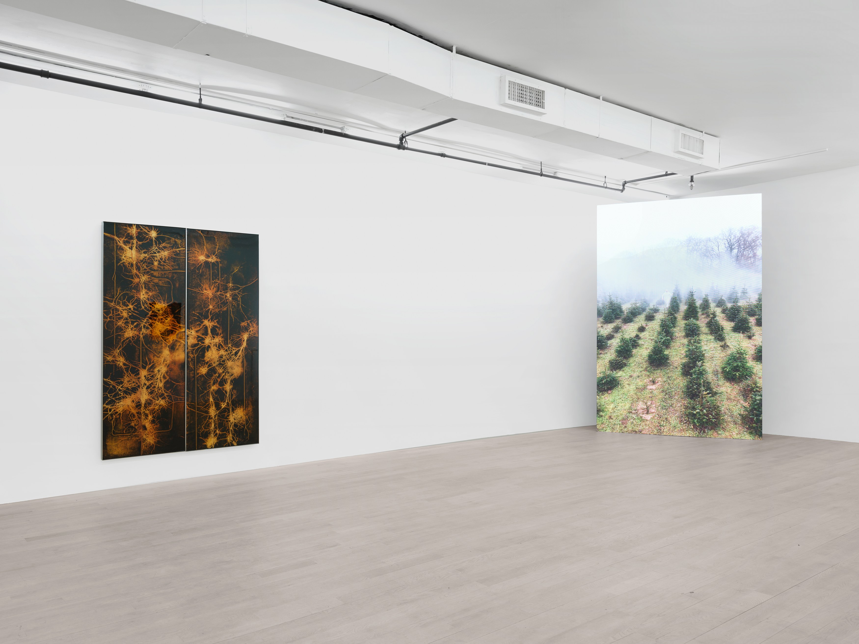 Installation view 11