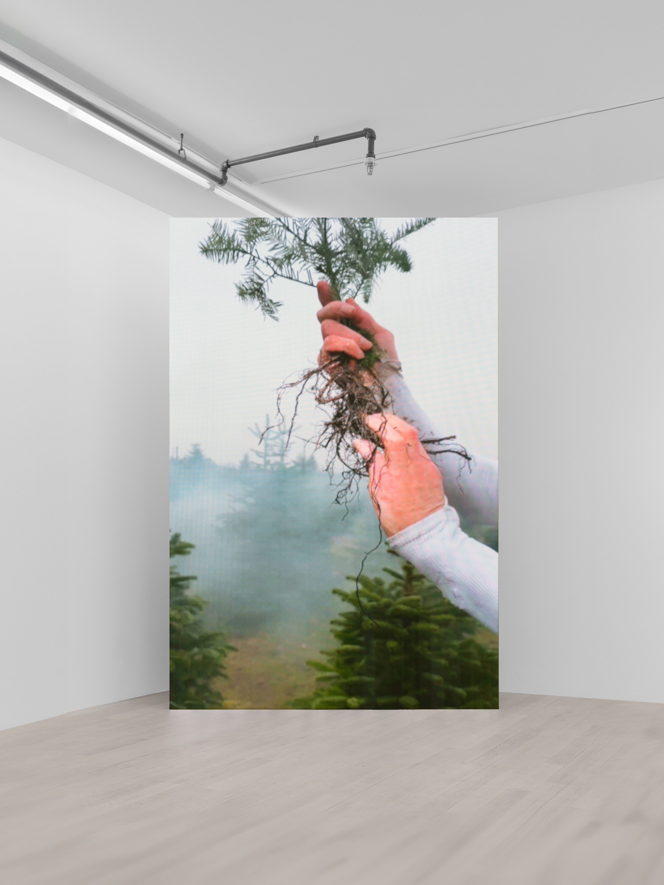Jura Shust, Außerkörperliche Erfahrung: Wandering Spirit at Management, photo 33