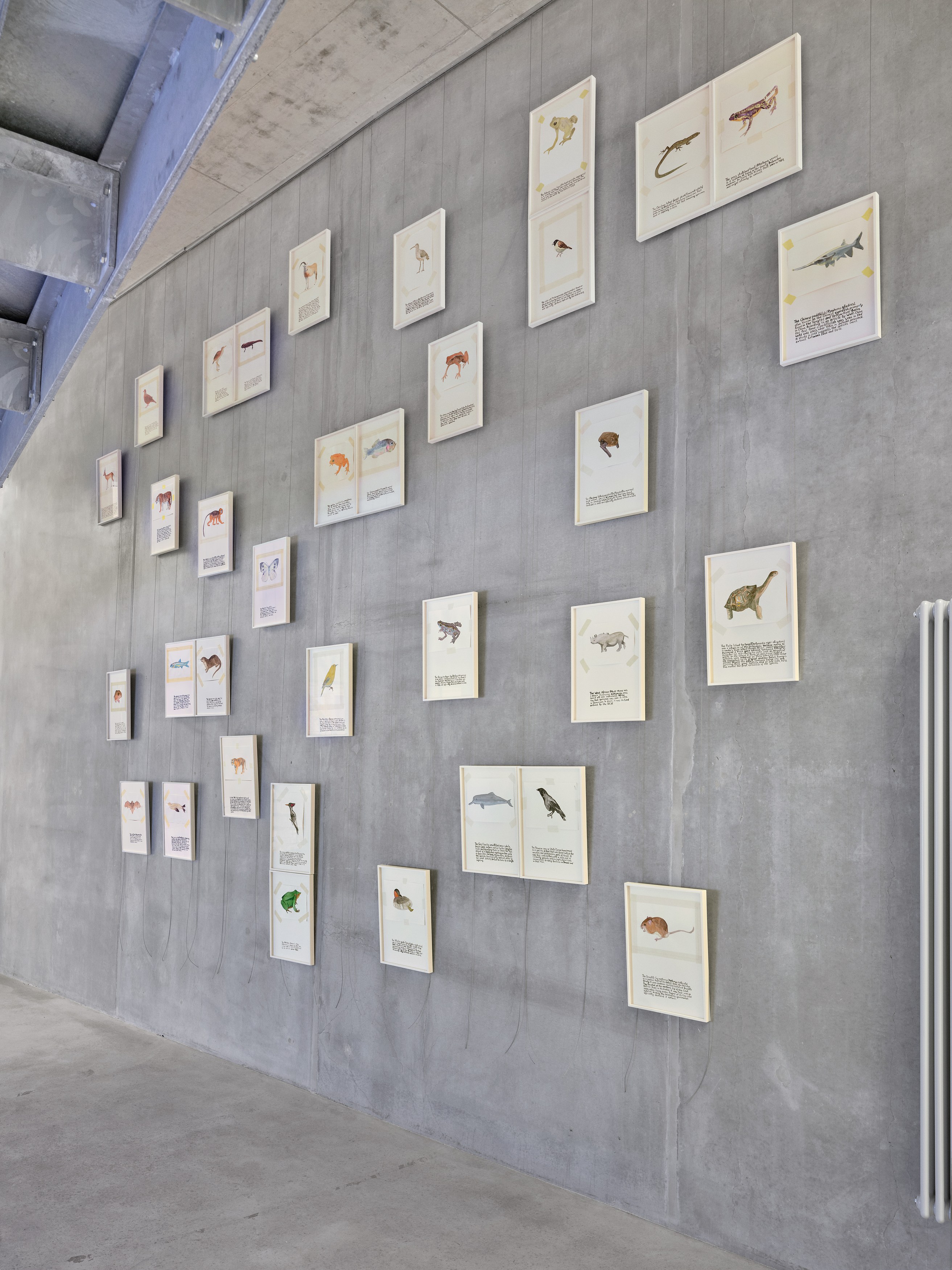 Anna Jermolaewa, You can count on me at Galerie Molitor, photo 3