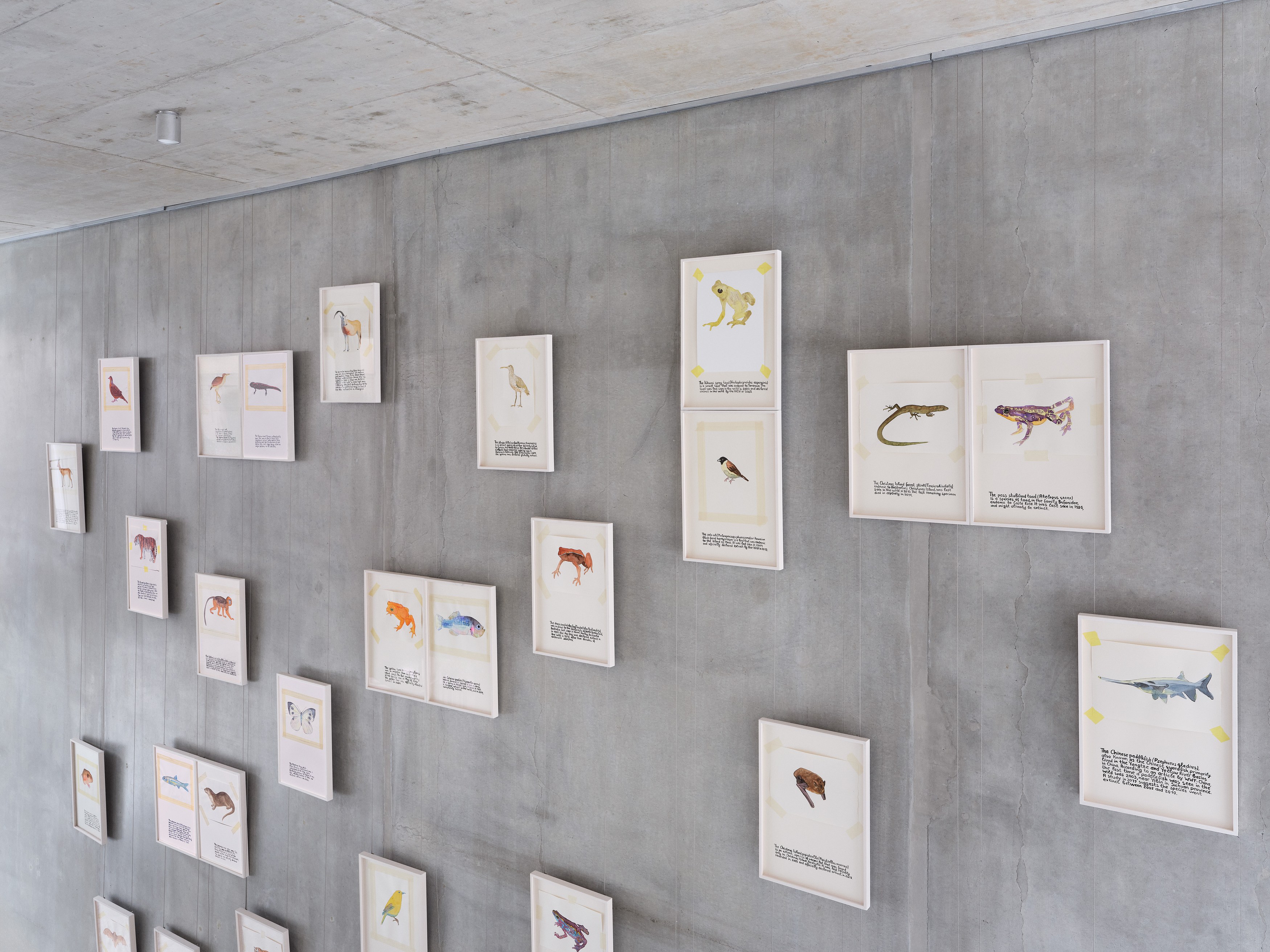 Anna Jermolaewa, You can count on me at Galerie Molitor, photo 5