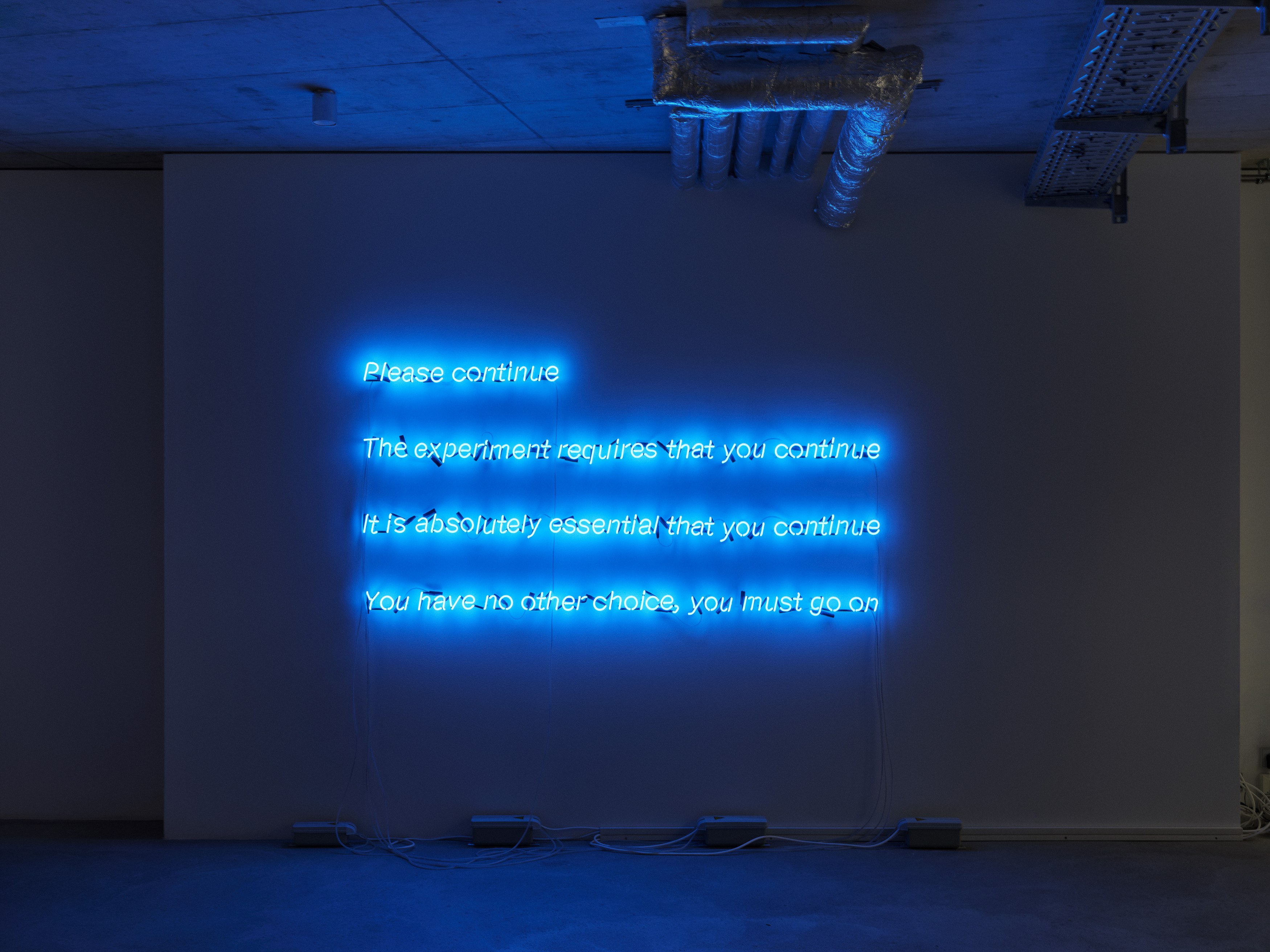 Anna Jermolaewa, You can count on me at Galerie Molitor, photo 2