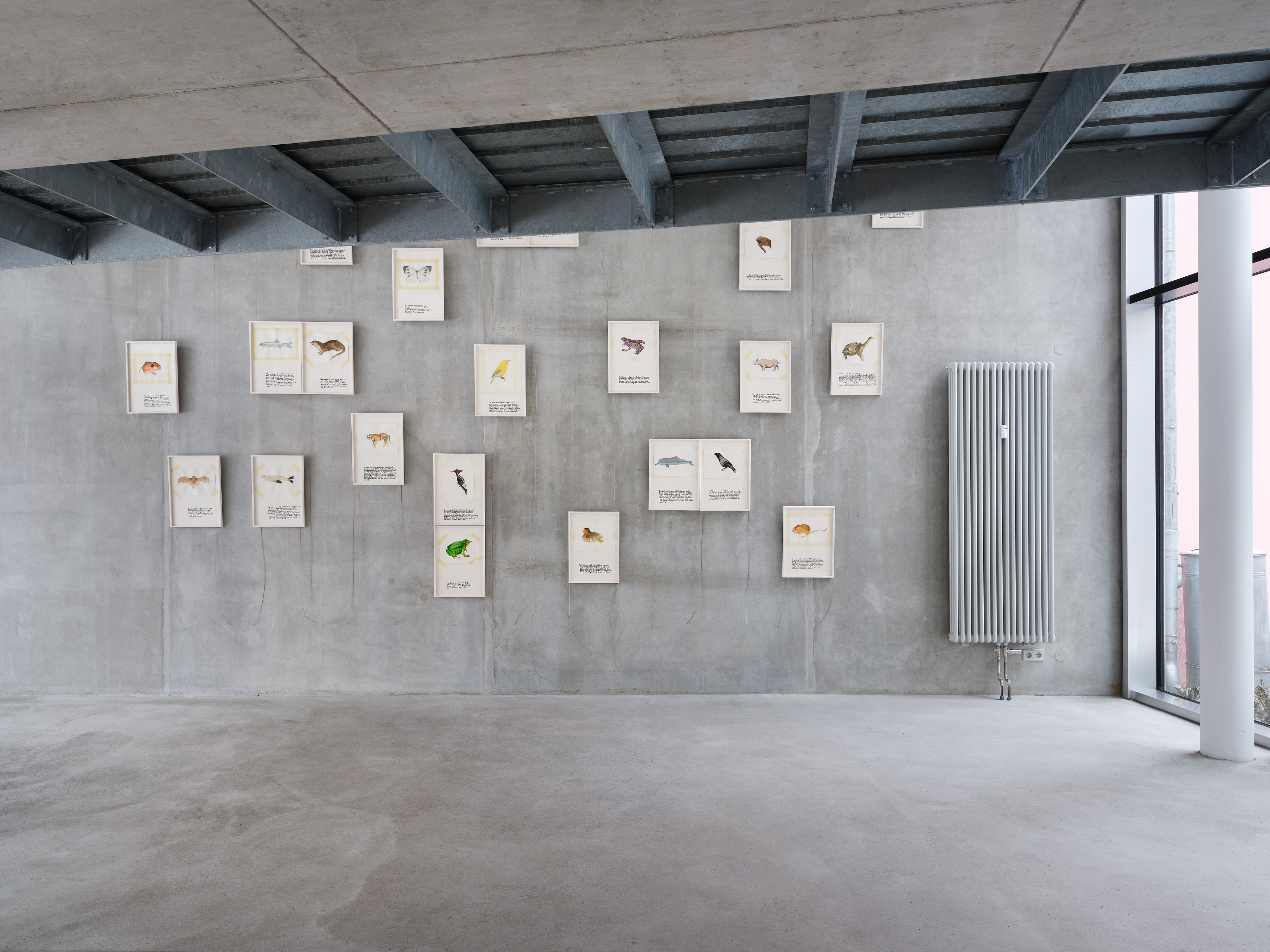 Anna Jermolaewa, You can count on me at Galerie Molitor, photo 4