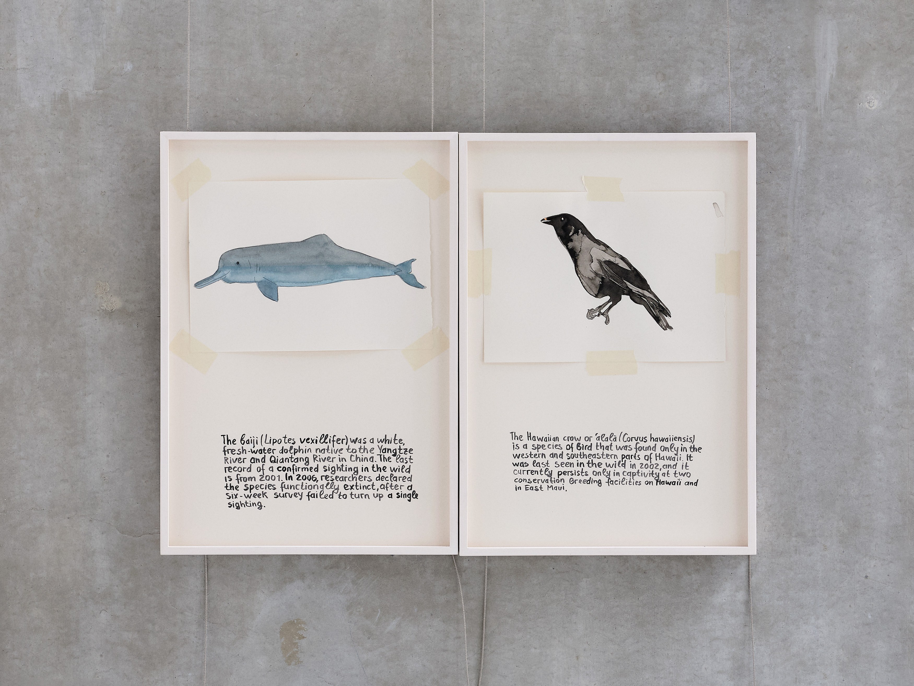 Anna Jermolaewa, You can count on me at Galerie Molitor, photo 7