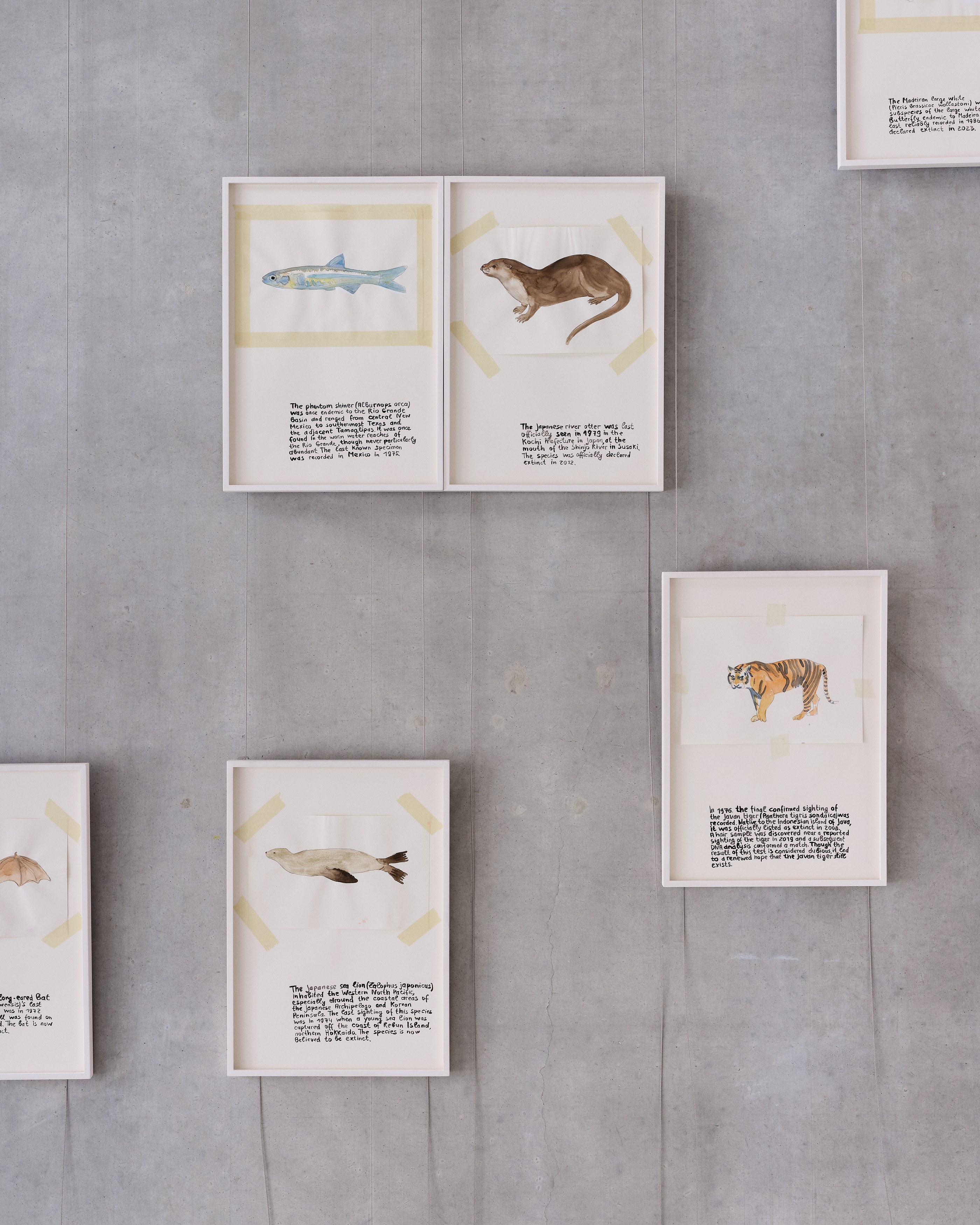 Anna Jermolaewa, You can count on me at Galerie Molitor, photo 8