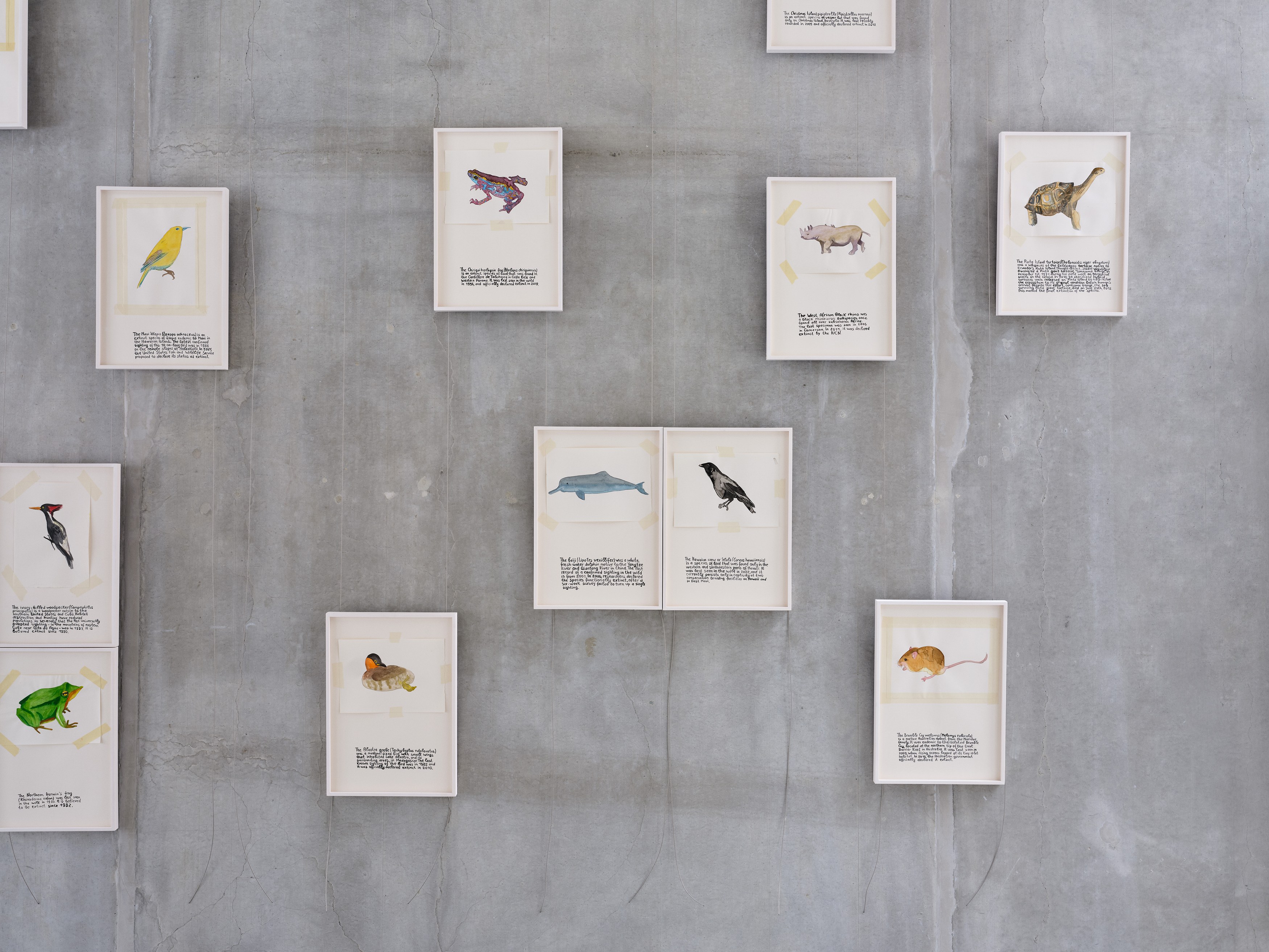 Anna Jermolaewa, You can count on me at Galerie Molitor, photo 6