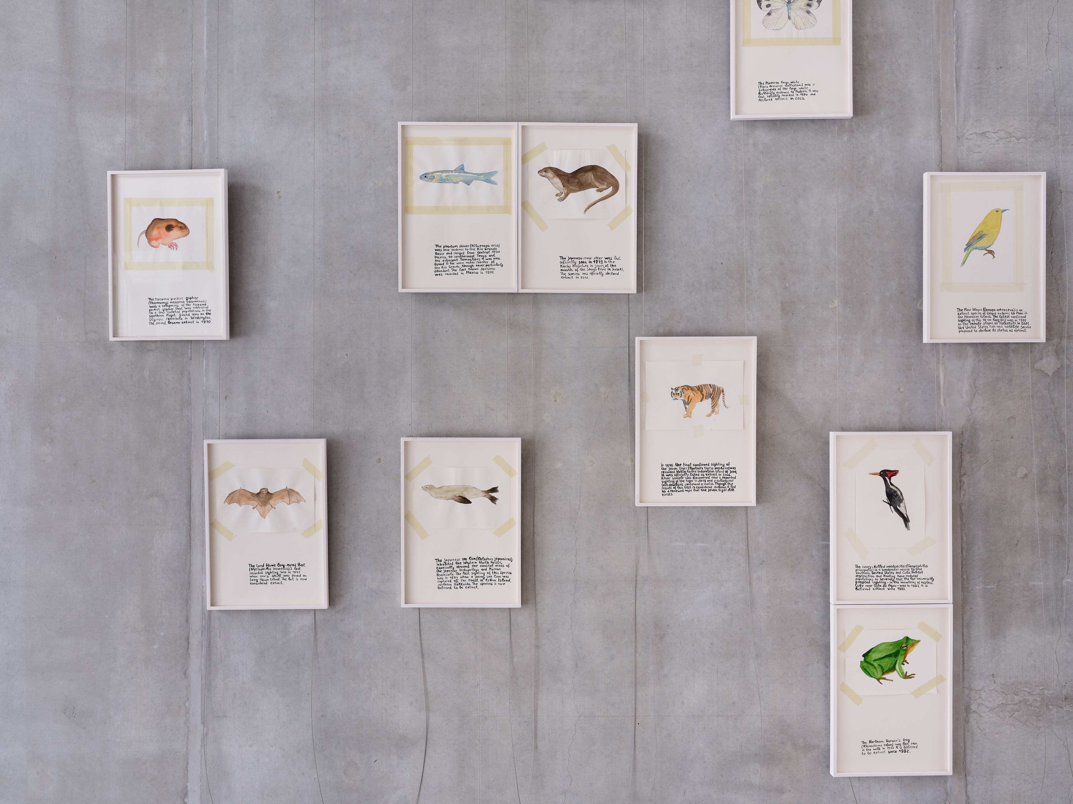 Anna Jermolaewa, You can count on me at Galerie Molitor, photo 9