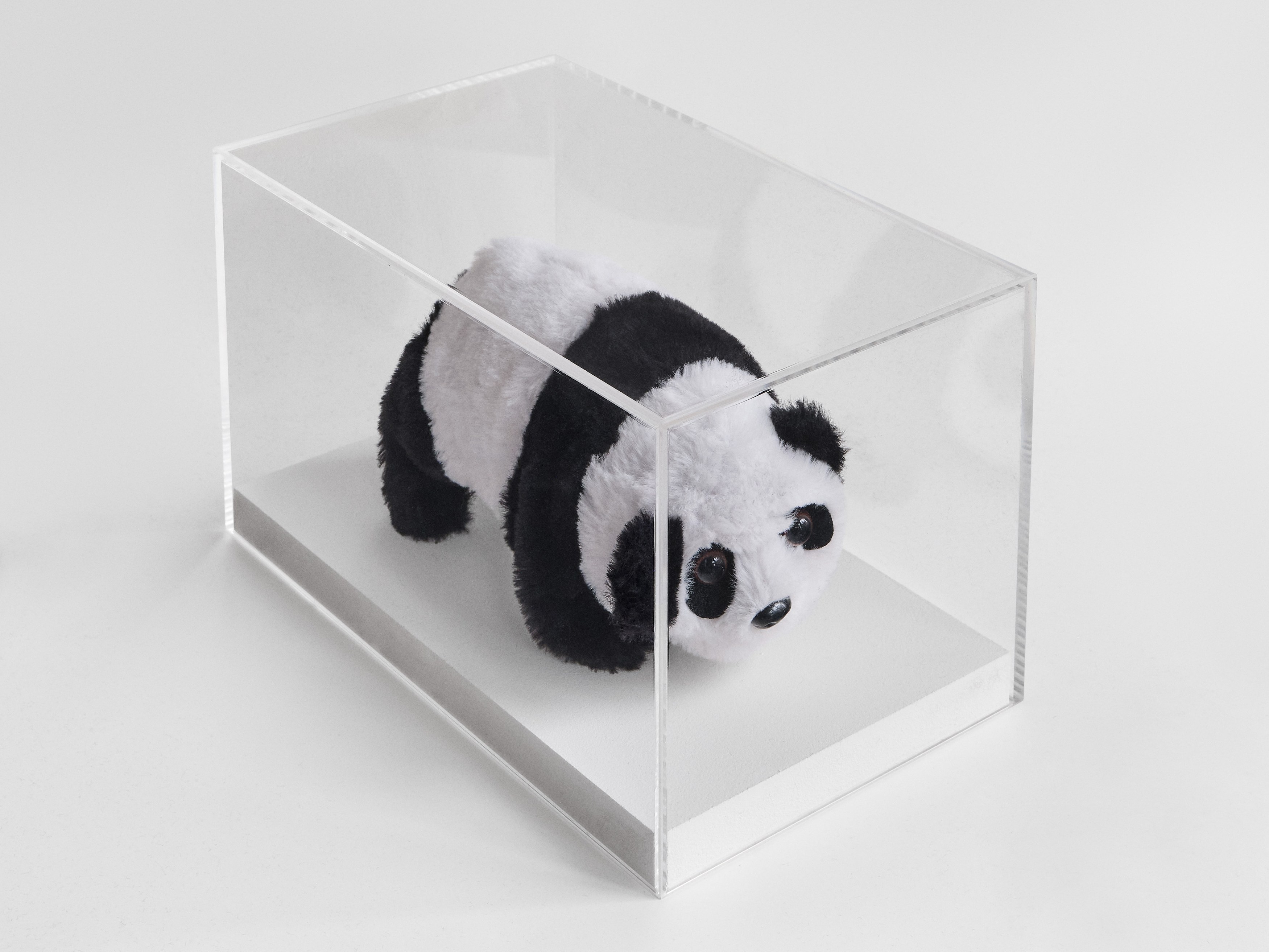 Anna Jermolaewa, You can count on me at Galerie Molitor, photo 14