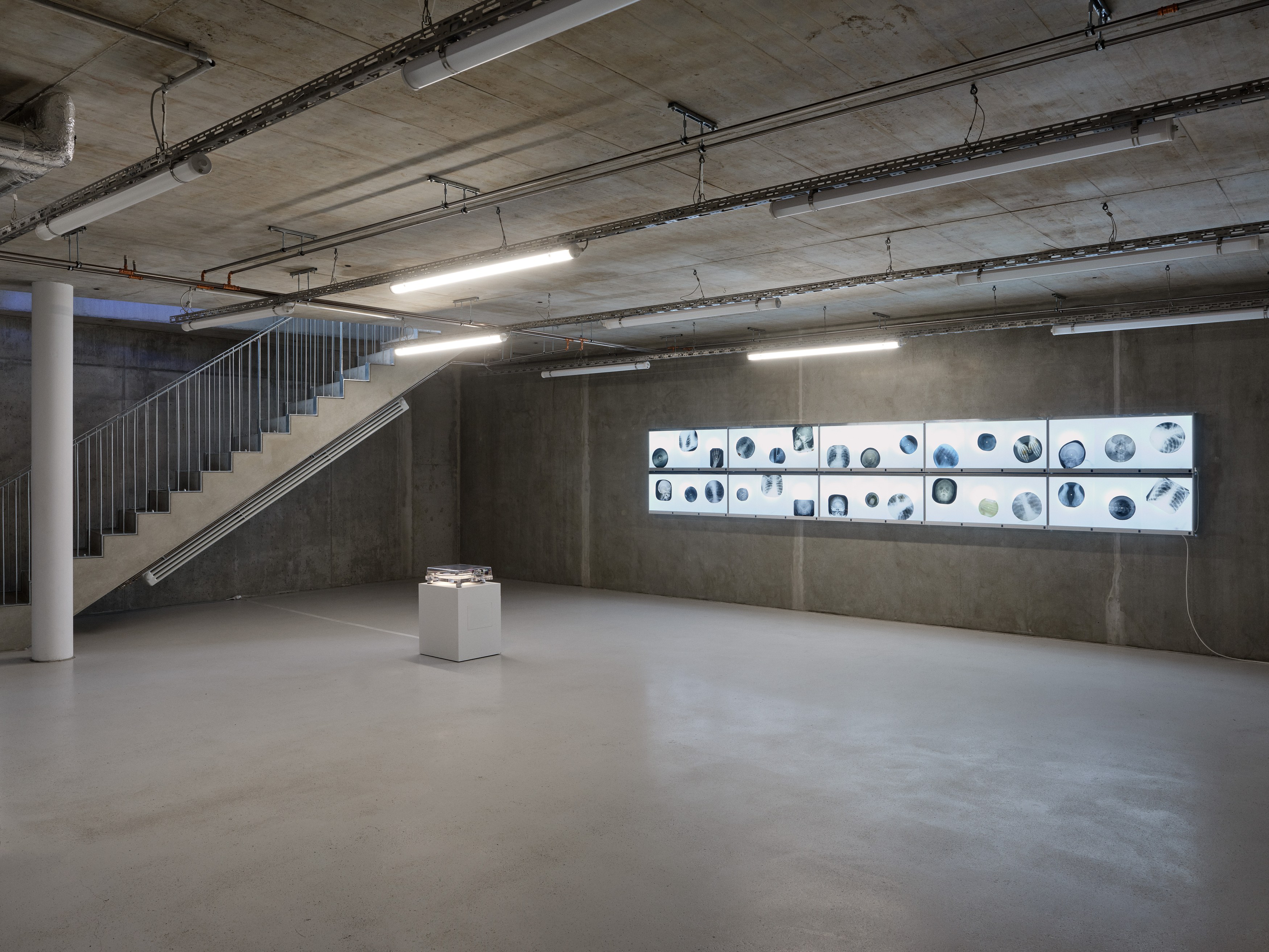Anna Jermolaewa, You can count on me at Galerie Molitor, photo 15