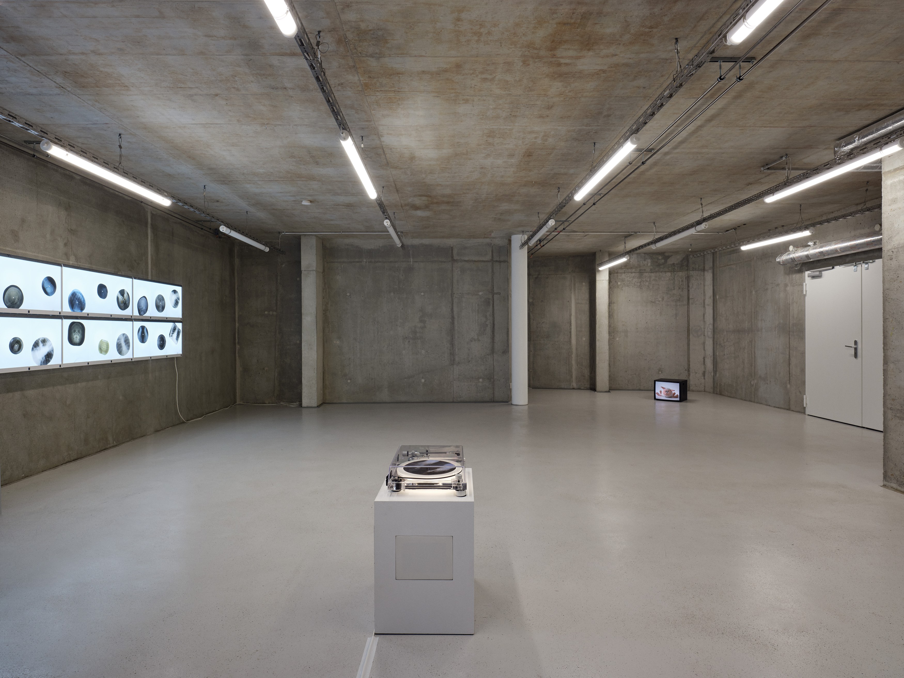 Anna Jermolaewa, You can count on me at Galerie Molitor, photo 16