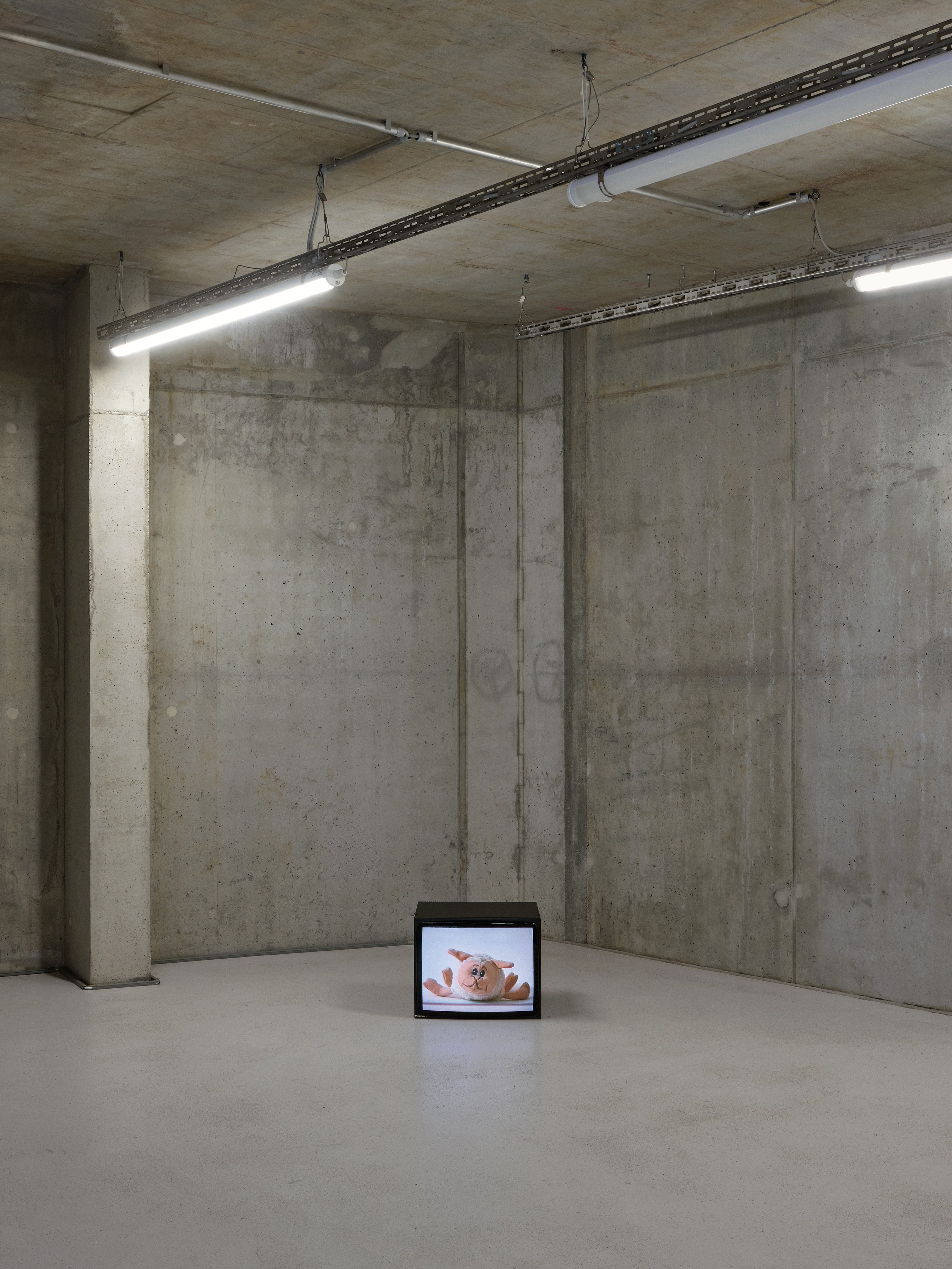 Anna Jermolaewa, You can count on me at Galerie Molitor, photo 18