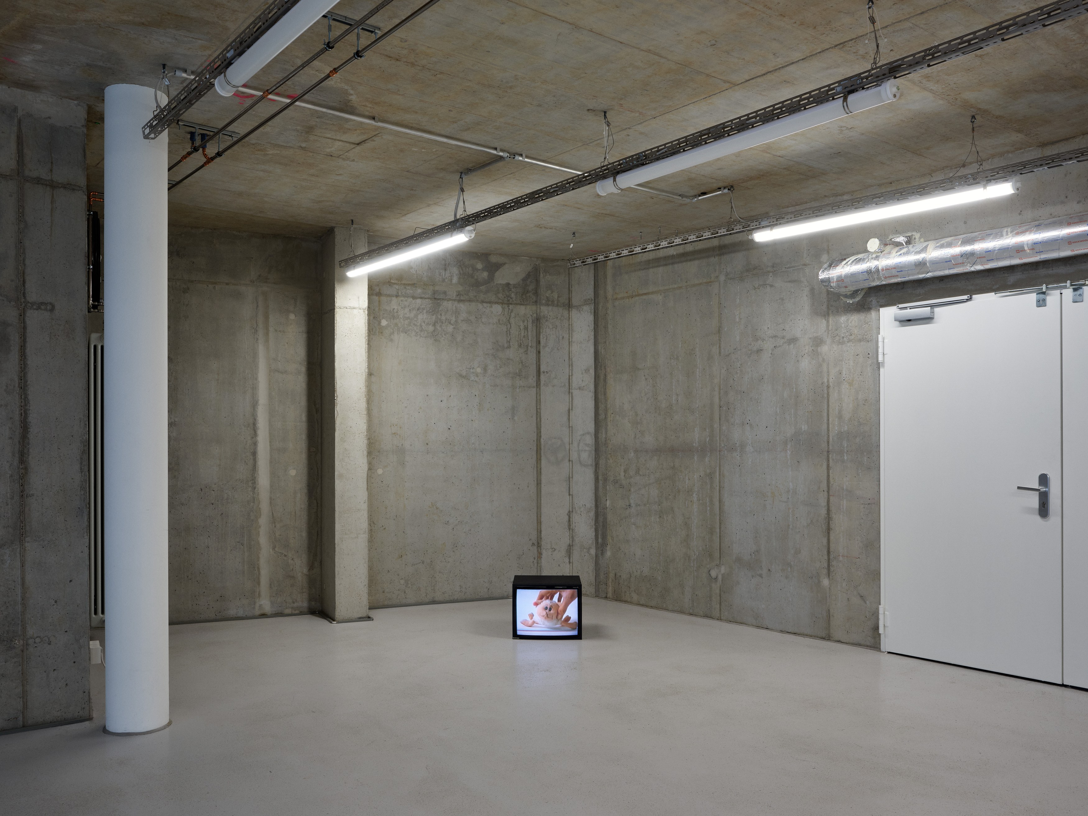 Anna Jermolaewa, You can count on me at Galerie Molitor, photo 17