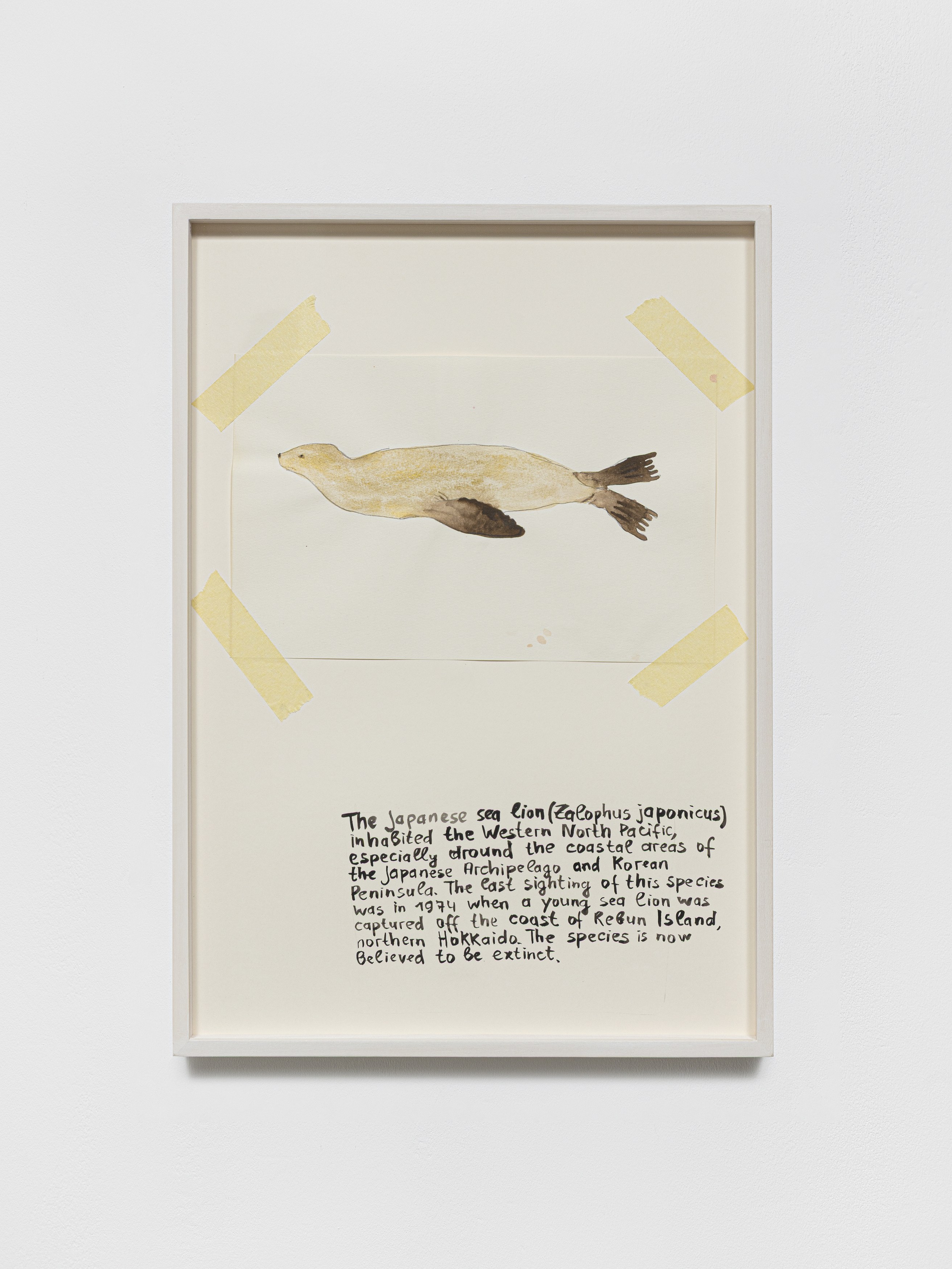 Anna Jermolaewa, You can count on me at Galerie Molitor, photo 21