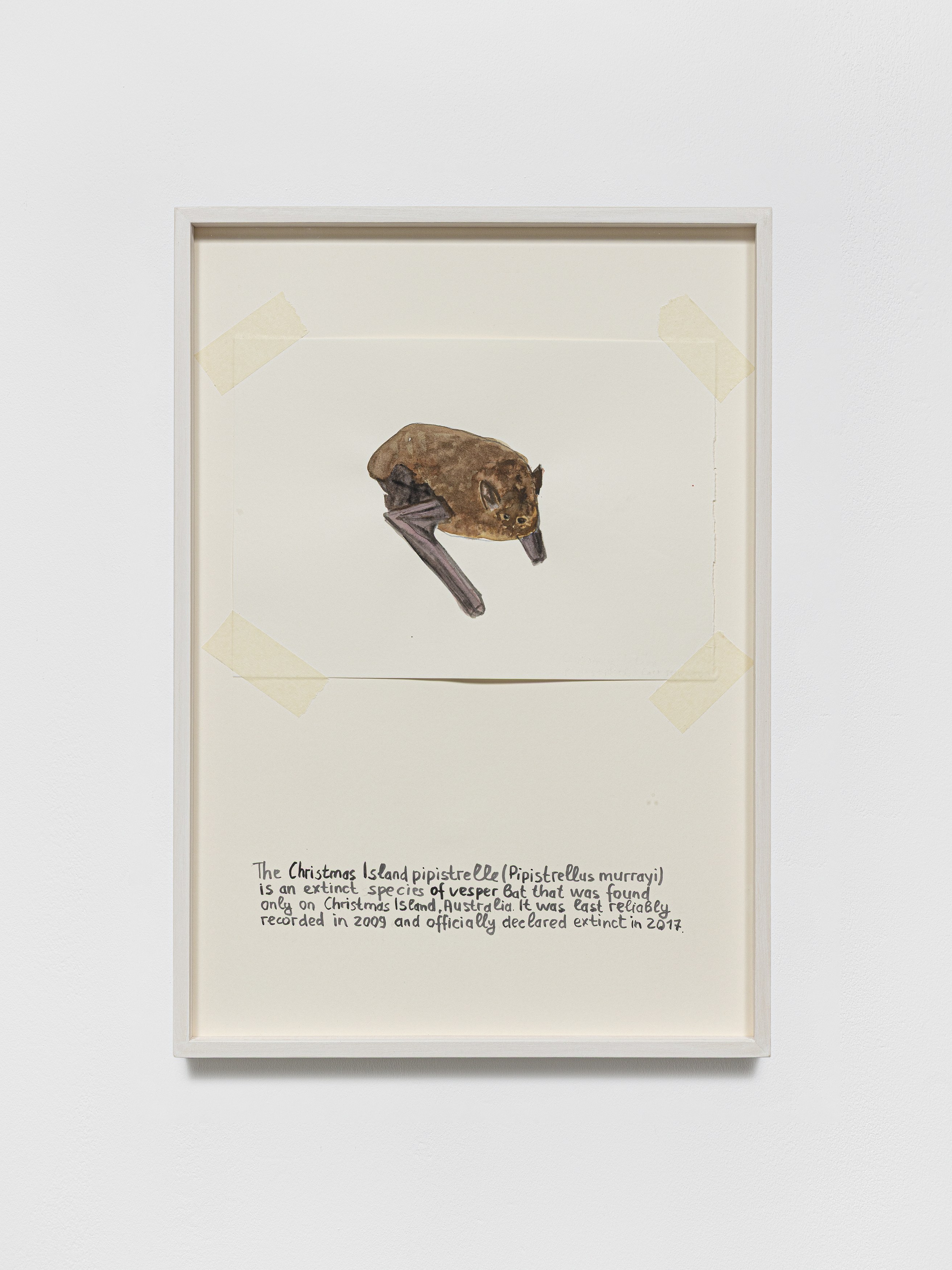Anna Jermolaewa, You can count on me at Galerie Molitor, photo 24