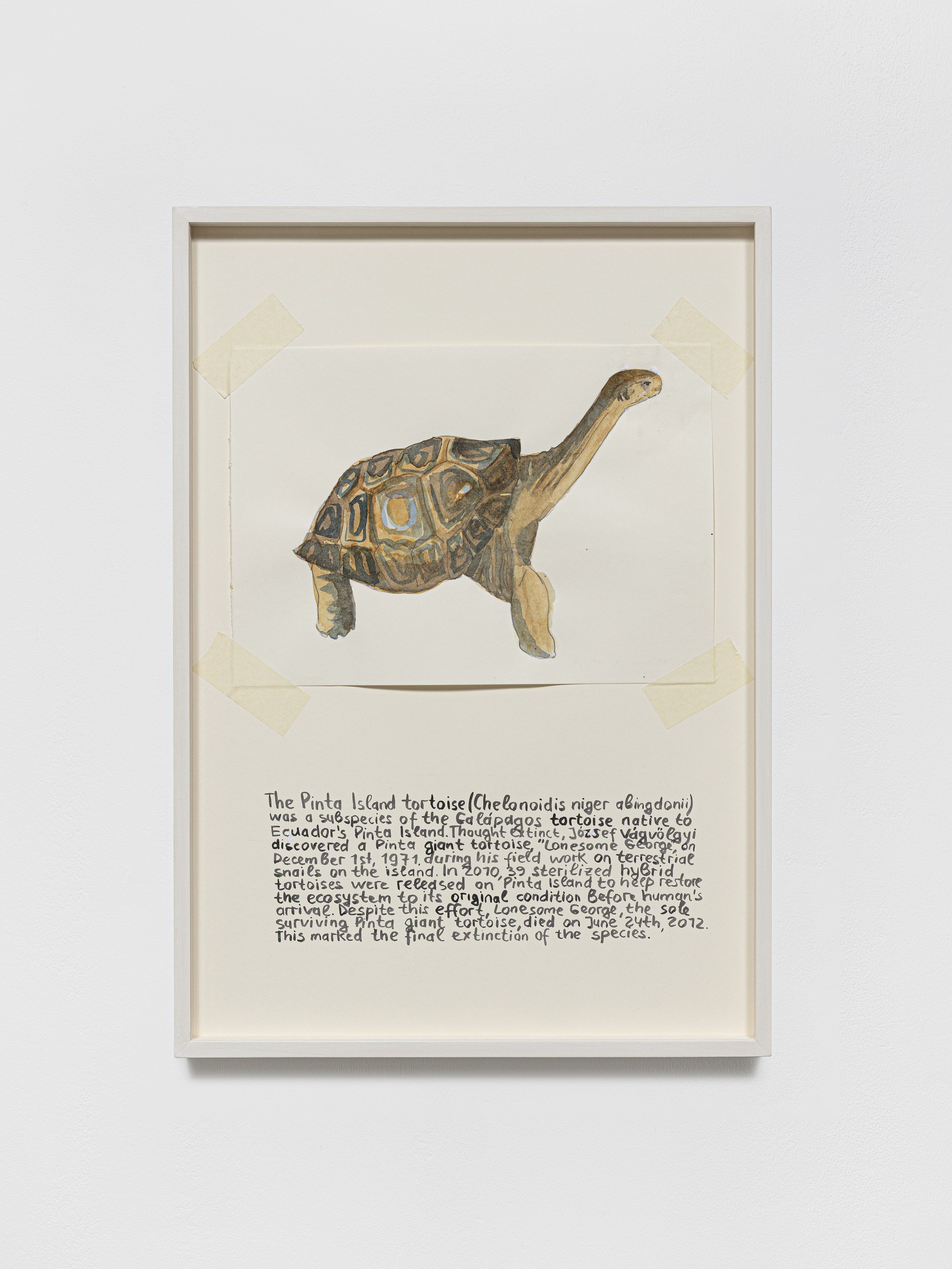 Anna Jermolaewa, You can count on me at Galerie Molitor, photo 23