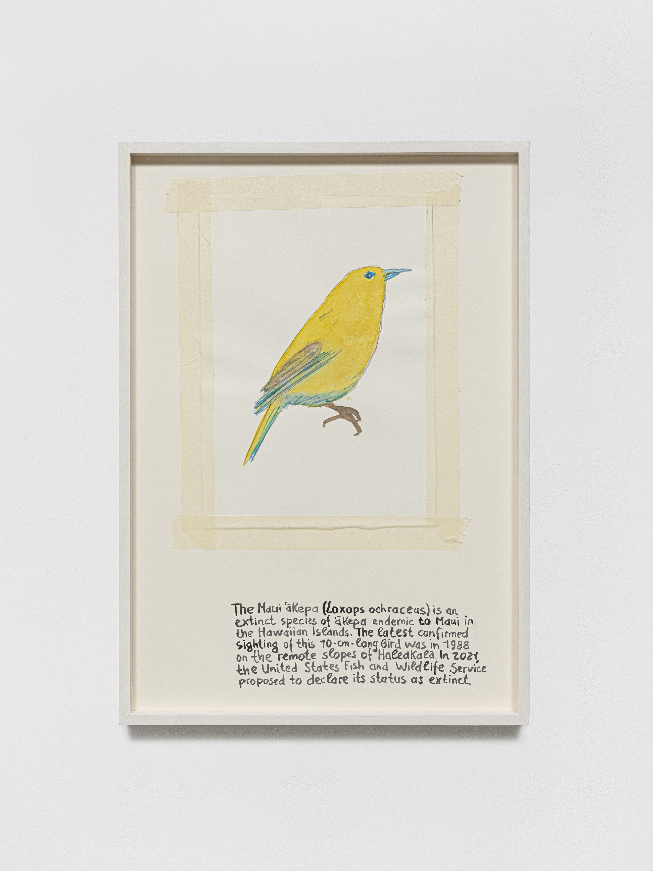 Anna Jermolaewa, You can count on me at Galerie Molitor, photo 25