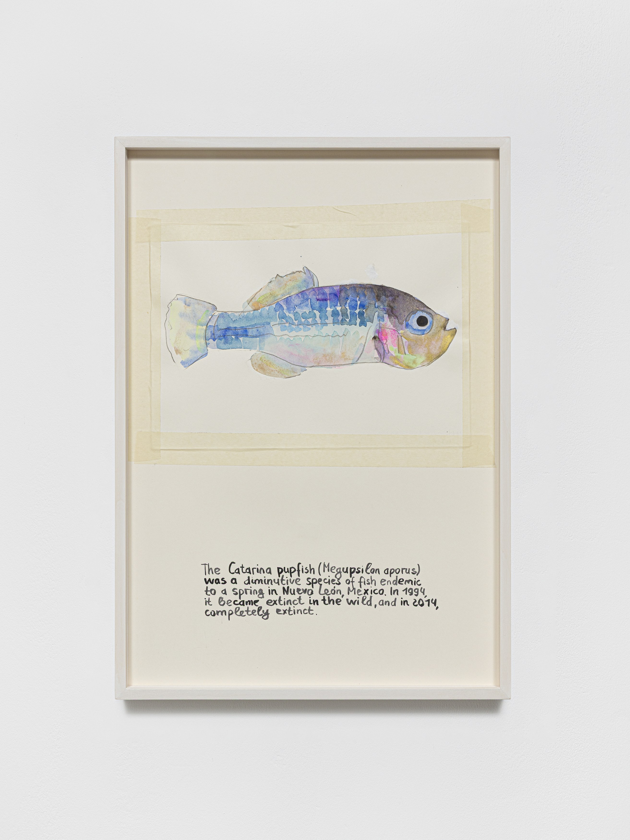 Anna Jermolaewa, You can count on me at Galerie Molitor, photo 26