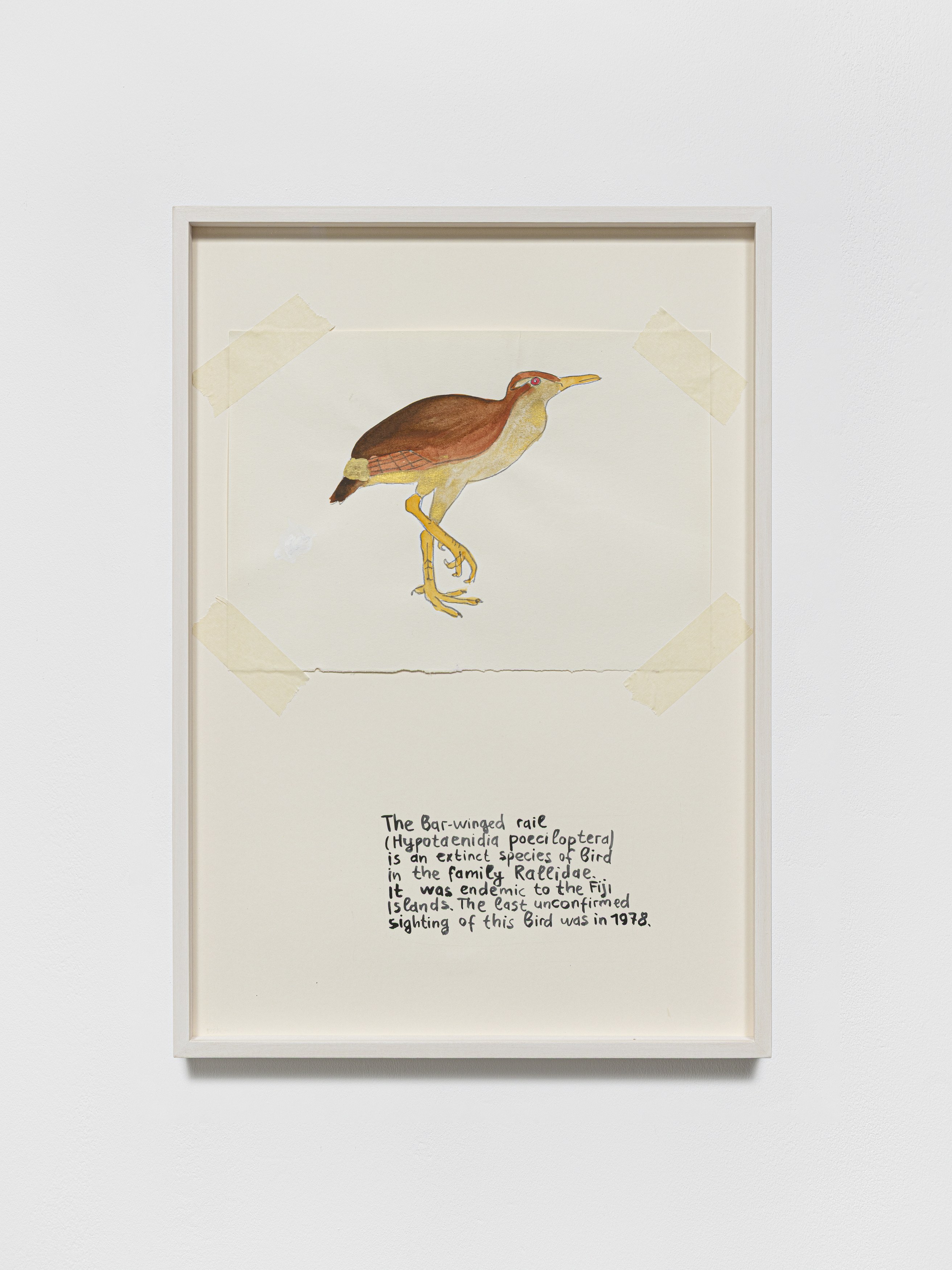 Anna Jermolaewa, You can count on me at Galerie Molitor, photo 29
