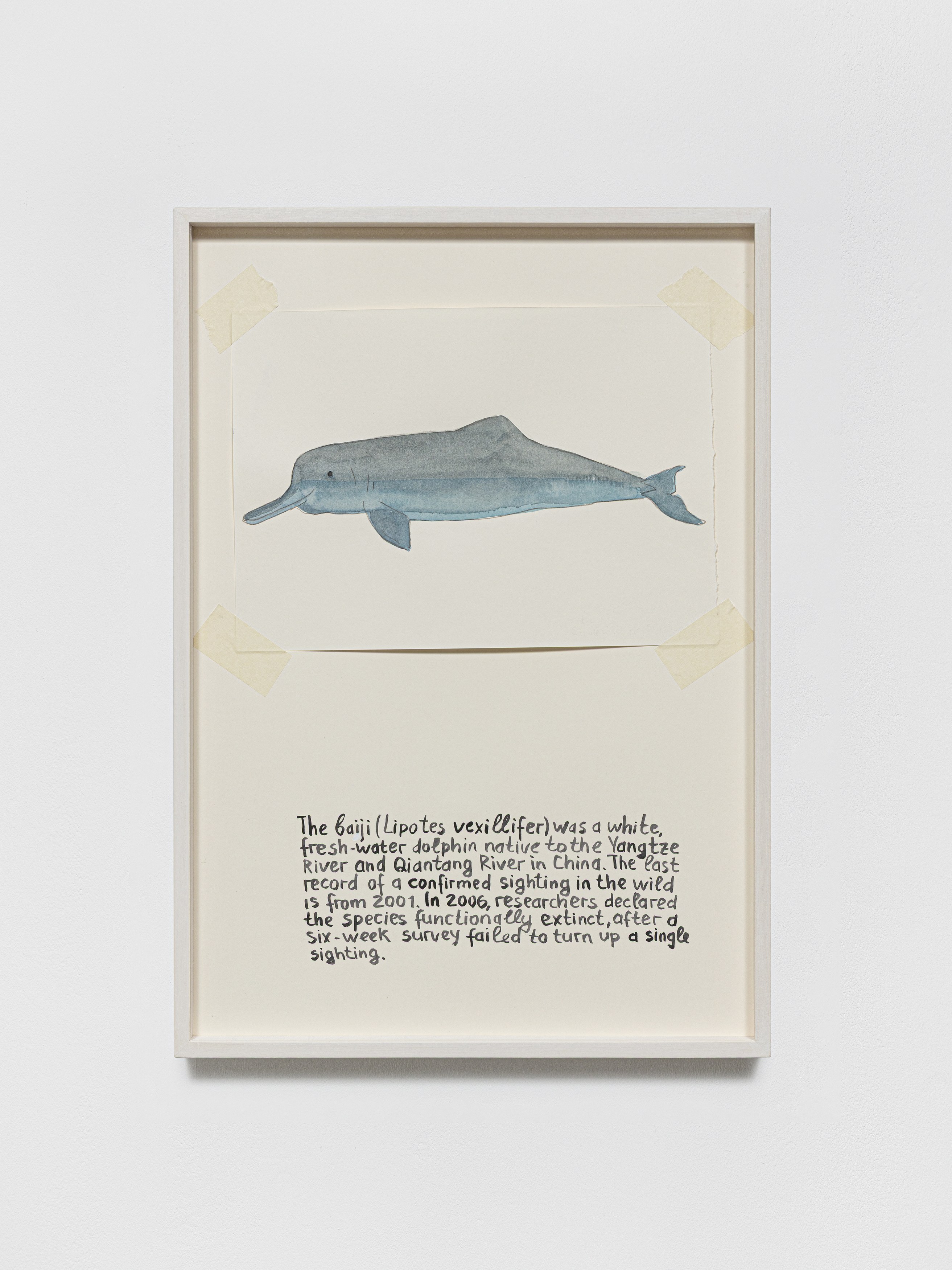 Anna Jermolaewa, You can count on me at Galerie Molitor, photo 30