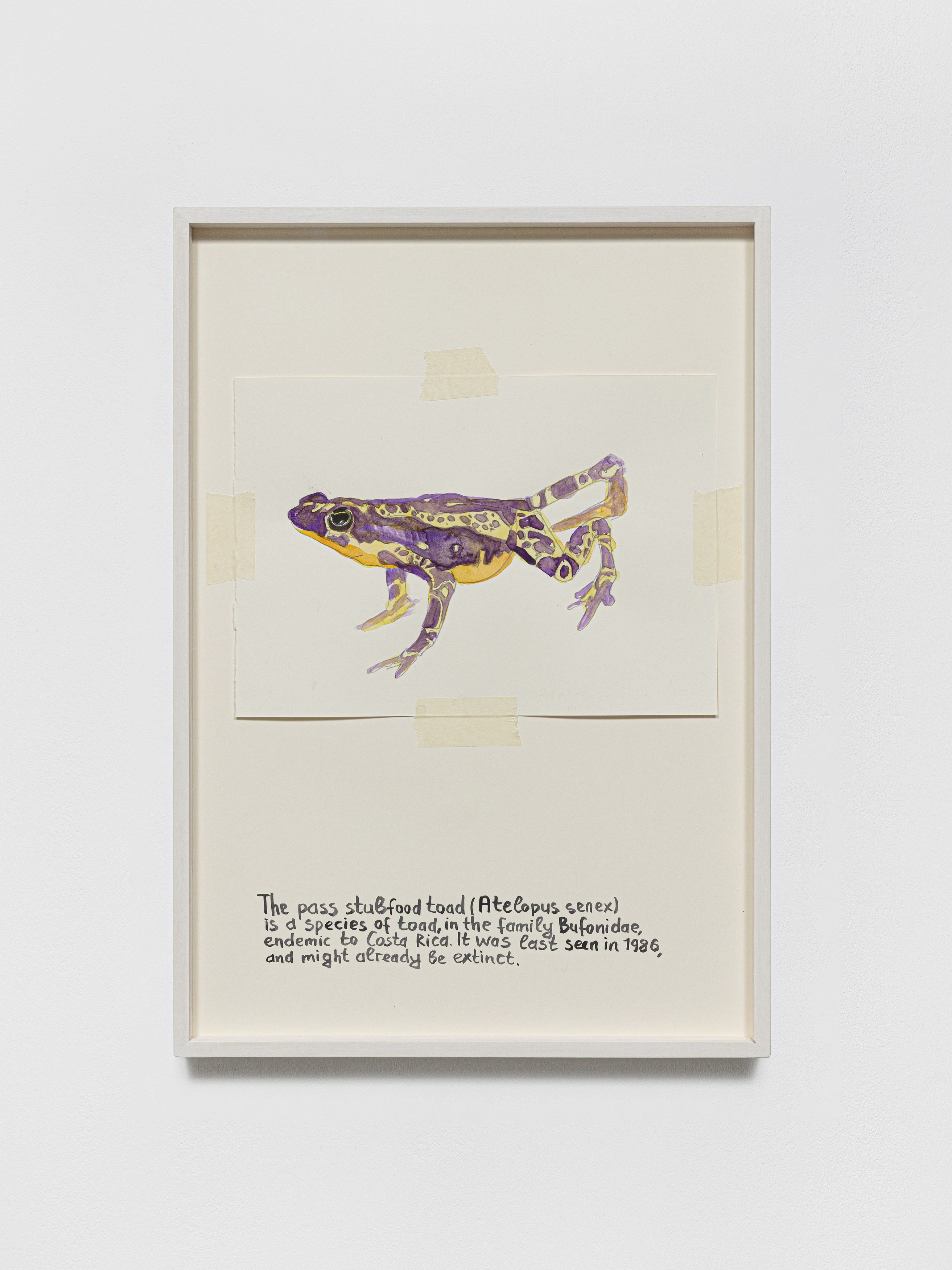 Anna Jermolaewa, You can count on me at Galerie Molitor, photo 31