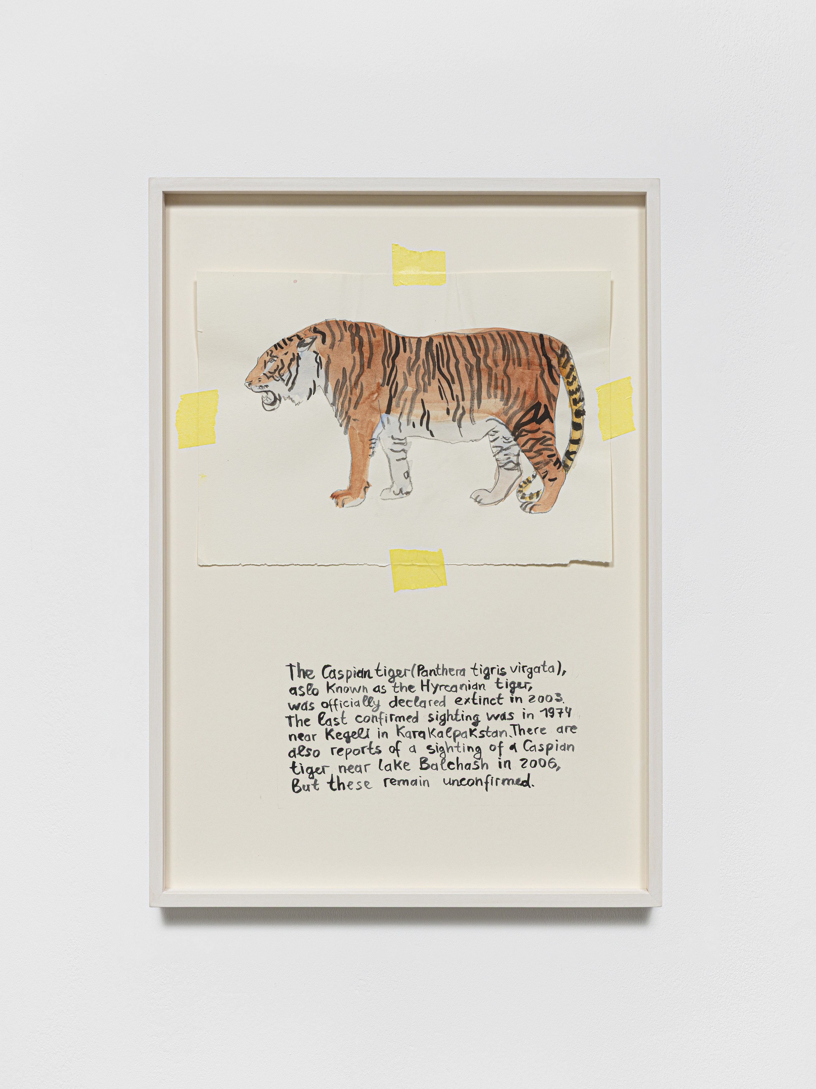 Anna Jermolaewa, You can count on me at Galerie Molitor, photo 34