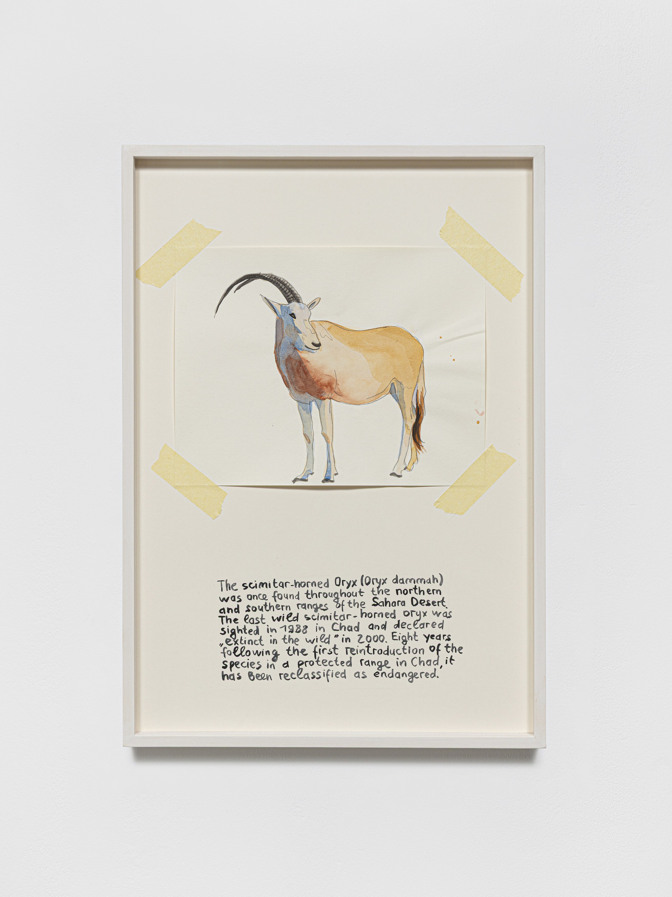 Anna Jermolaewa, You can count on me at Galerie Molitor, photo 35