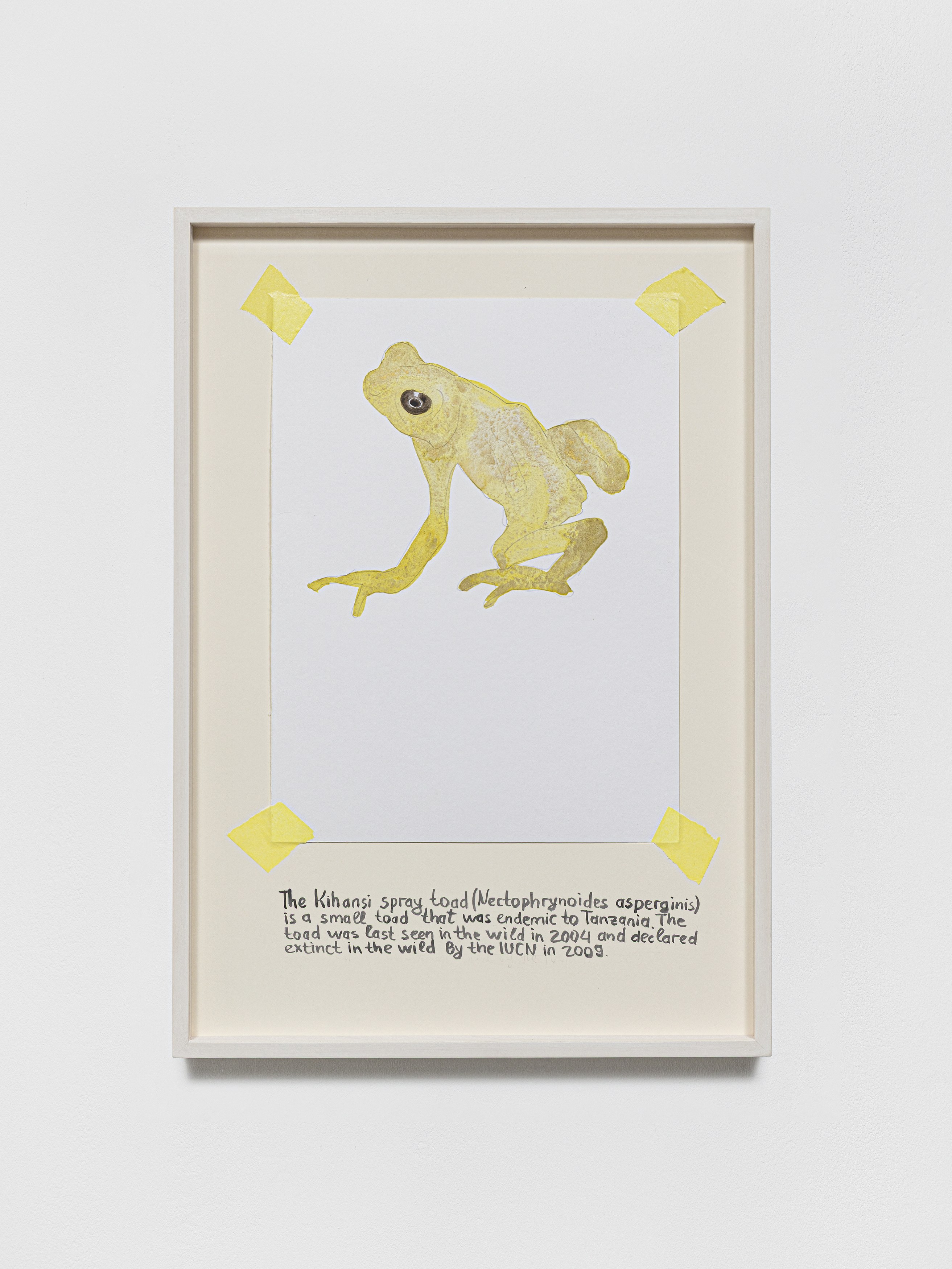 Anna Jermolaewa, You can count on me at Galerie Molitor, photo 36