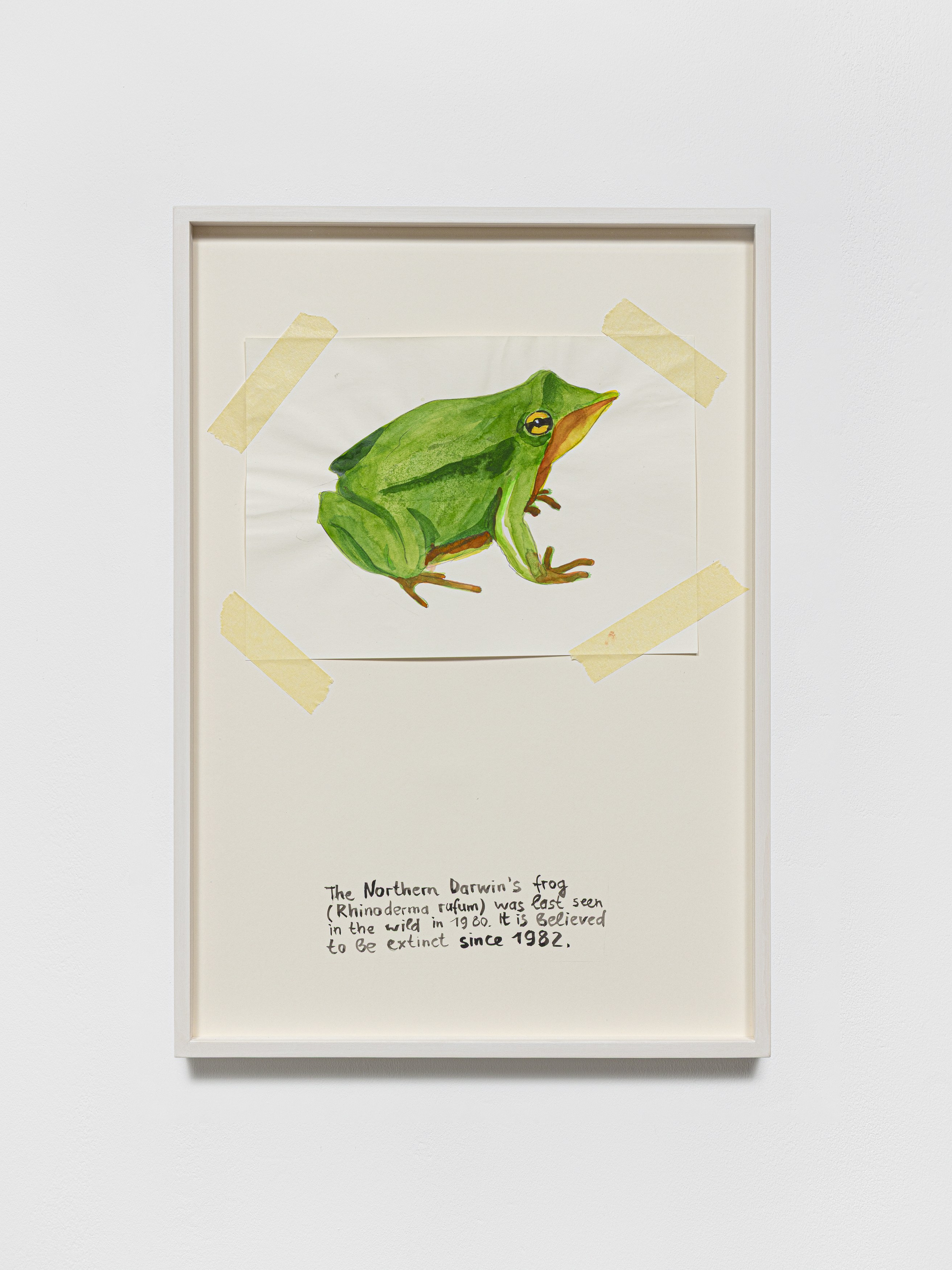 Anna Jermolaewa, You can count on me at Galerie Molitor, photo 37