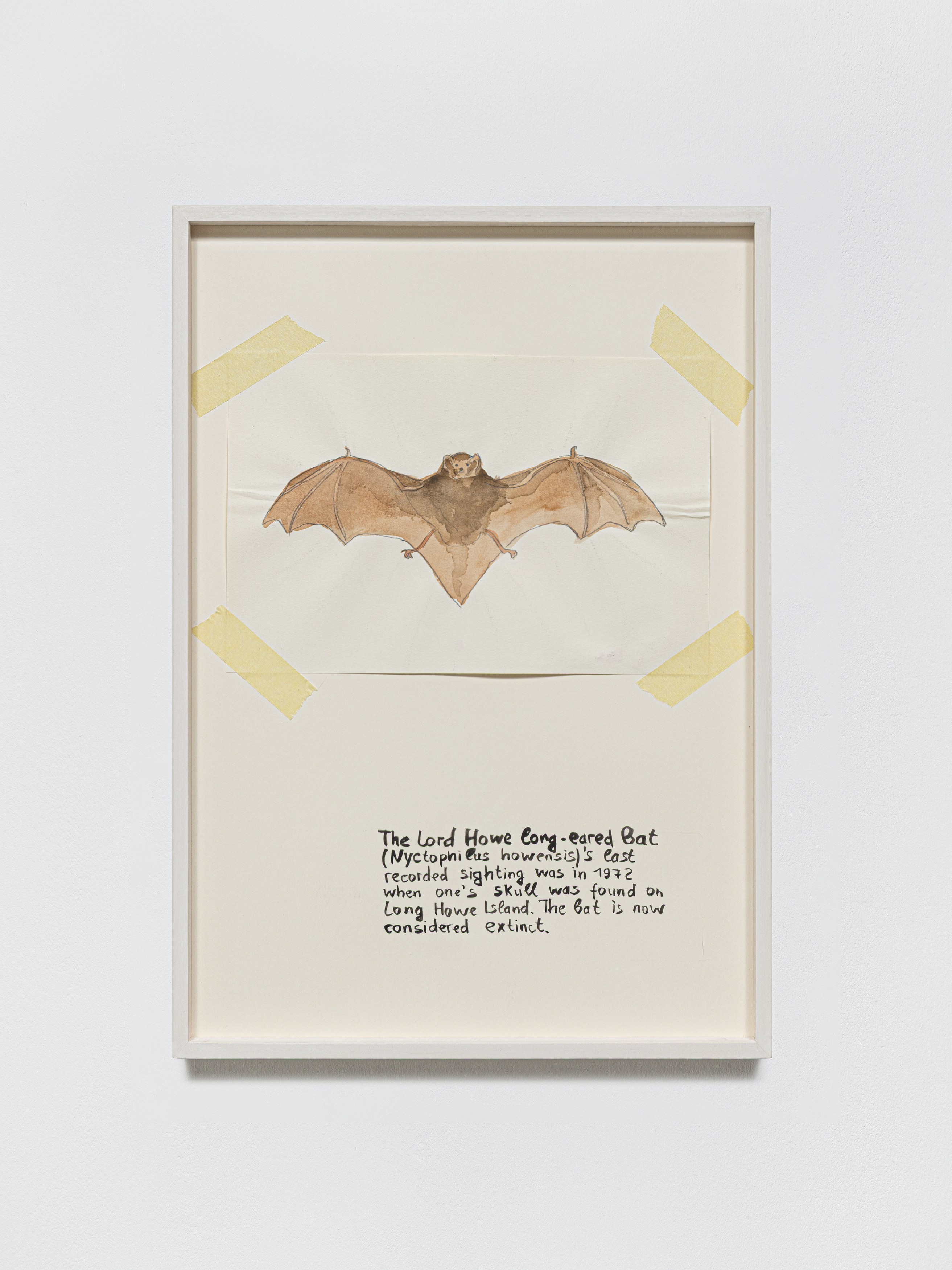 Anna Jermolaewa, You can count on me at Galerie Molitor, photo 38