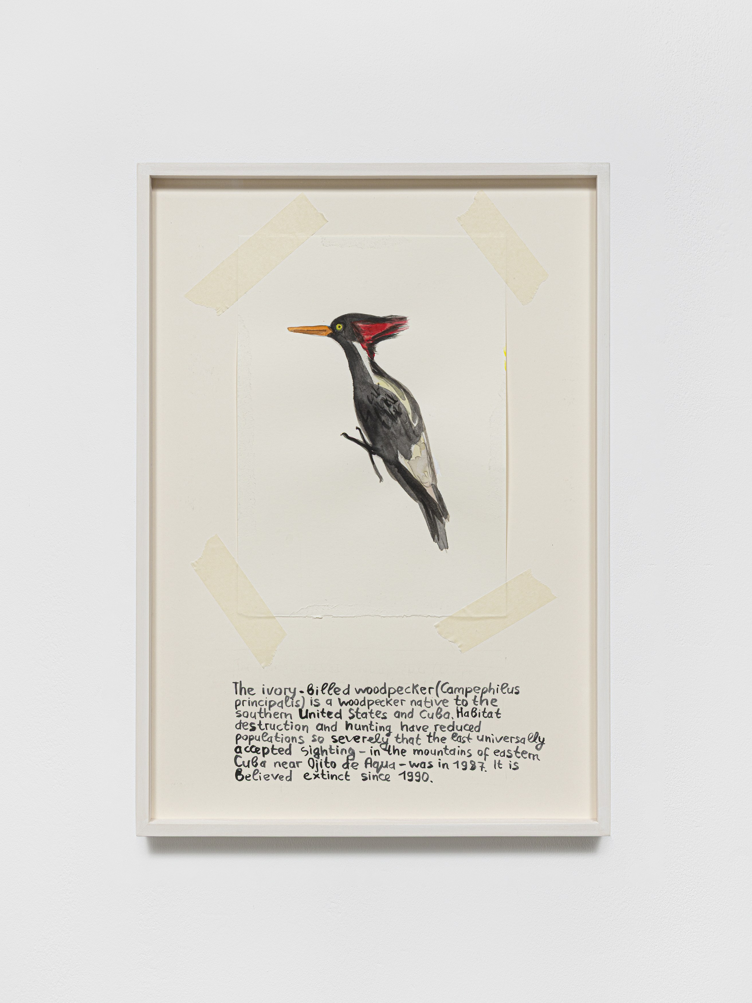 Anna Jermolaewa, You can count on me at Galerie Molitor, photo 39