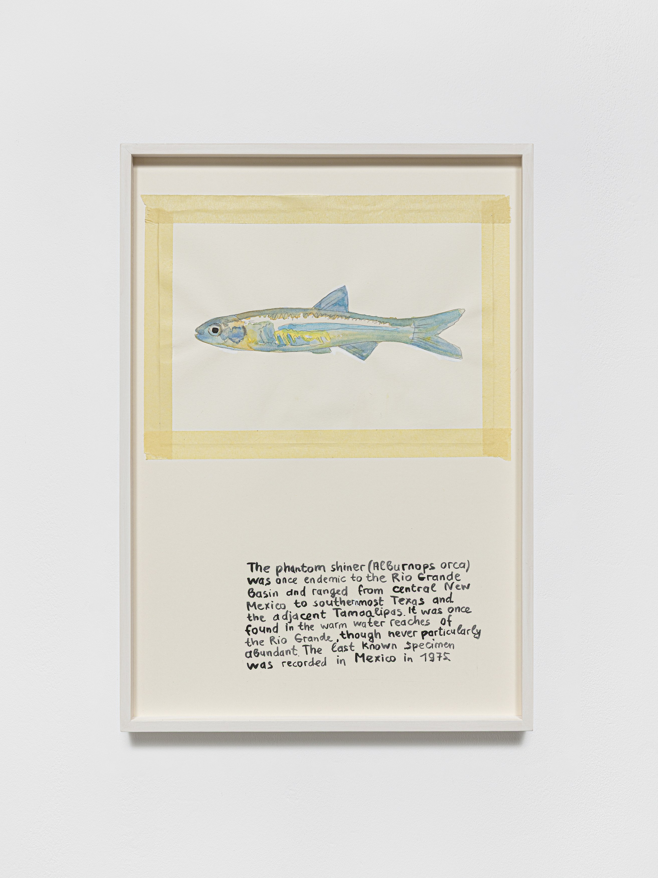 Anna Jermolaewa, You can count on me at Galerie Molitor, photo 40