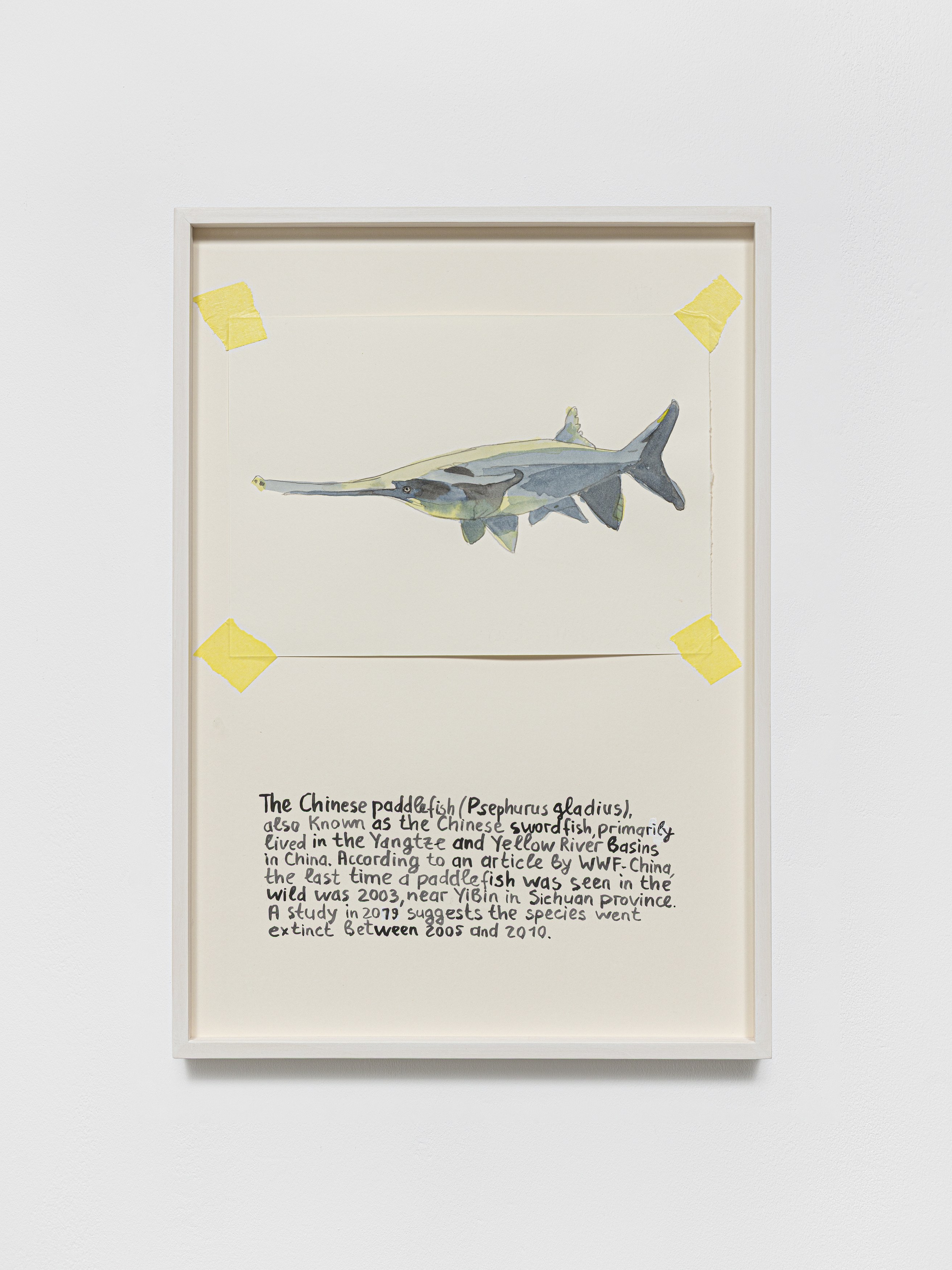 Anna Jermolaewa, You can count on me at Galerie Molitor, photo 41