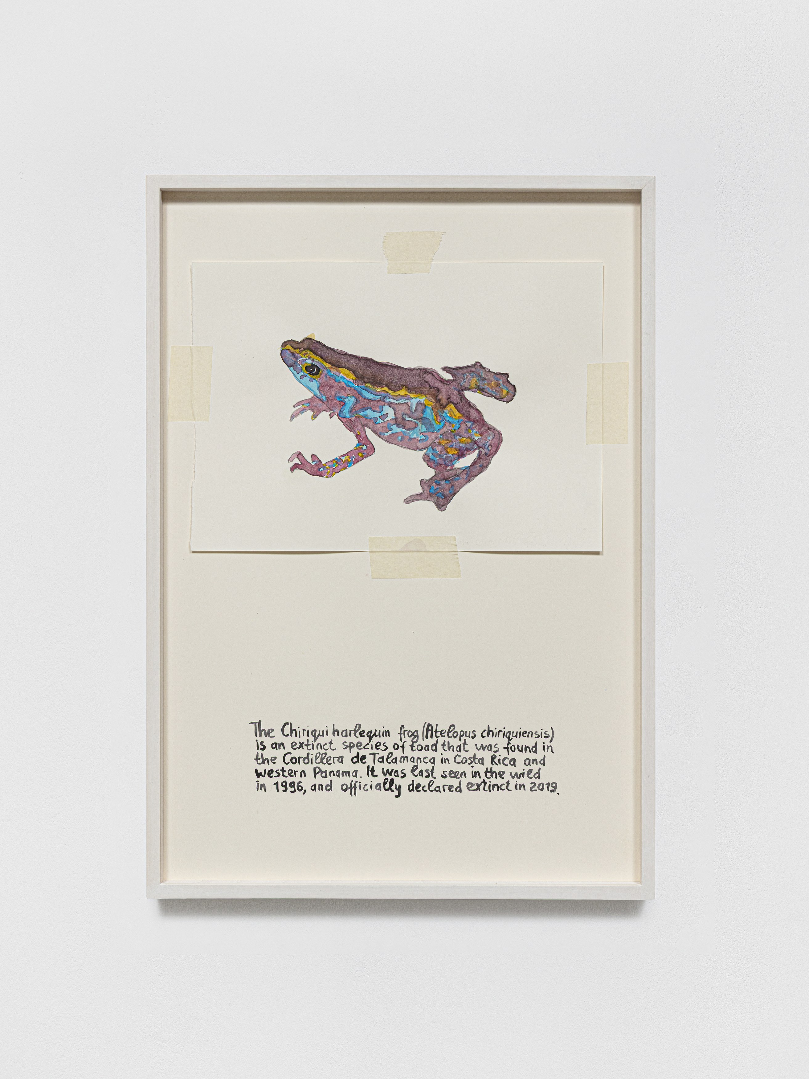 Anna Jermolaewa, You can count on me at Galerie Molitor, photo 43