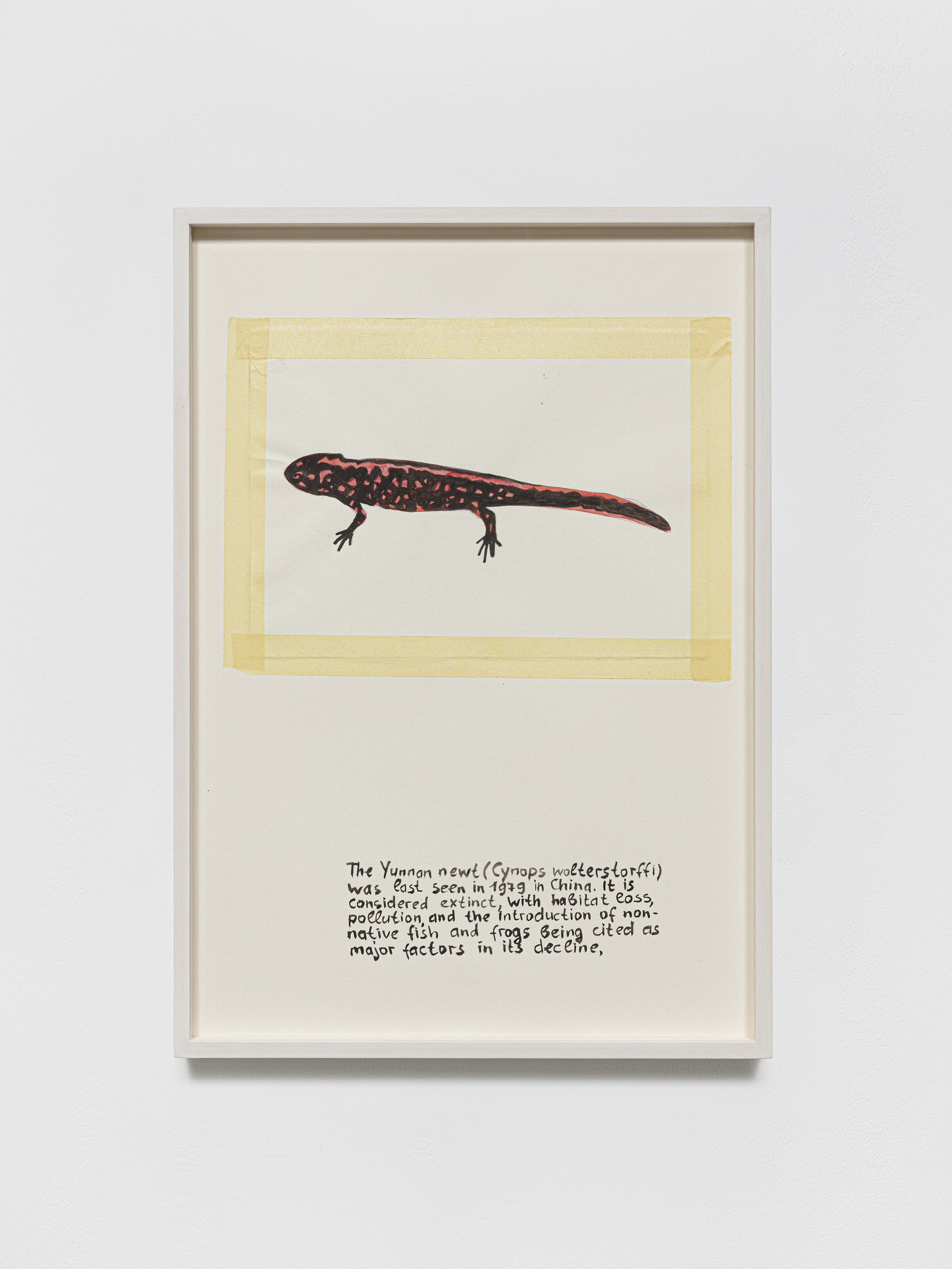 Anna Jermolaewa, You can count on me at Galerie Molitor, photo 45