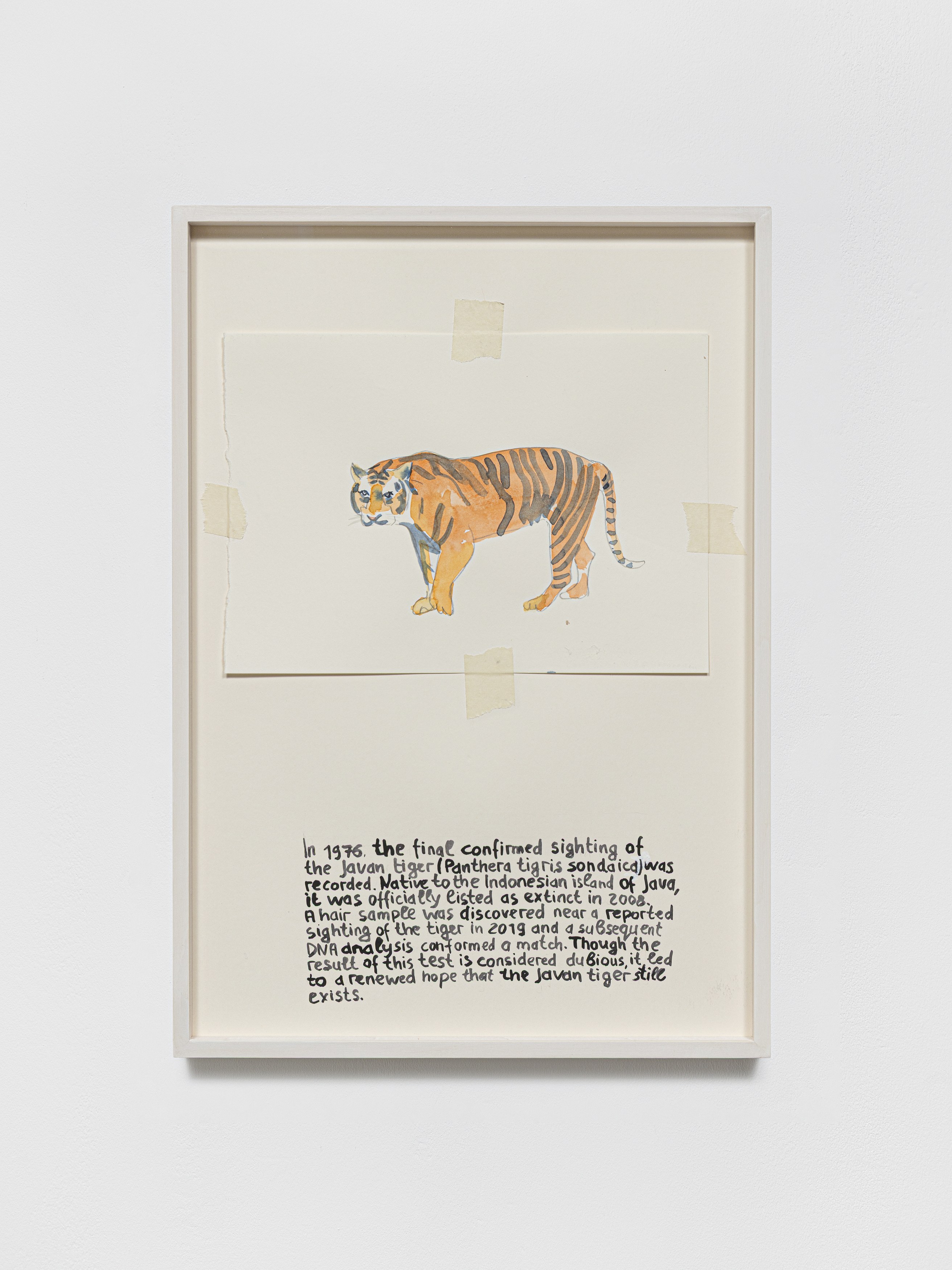 Anna Jermolaewa, You can count on me at Galerie Molitor, photo 44
