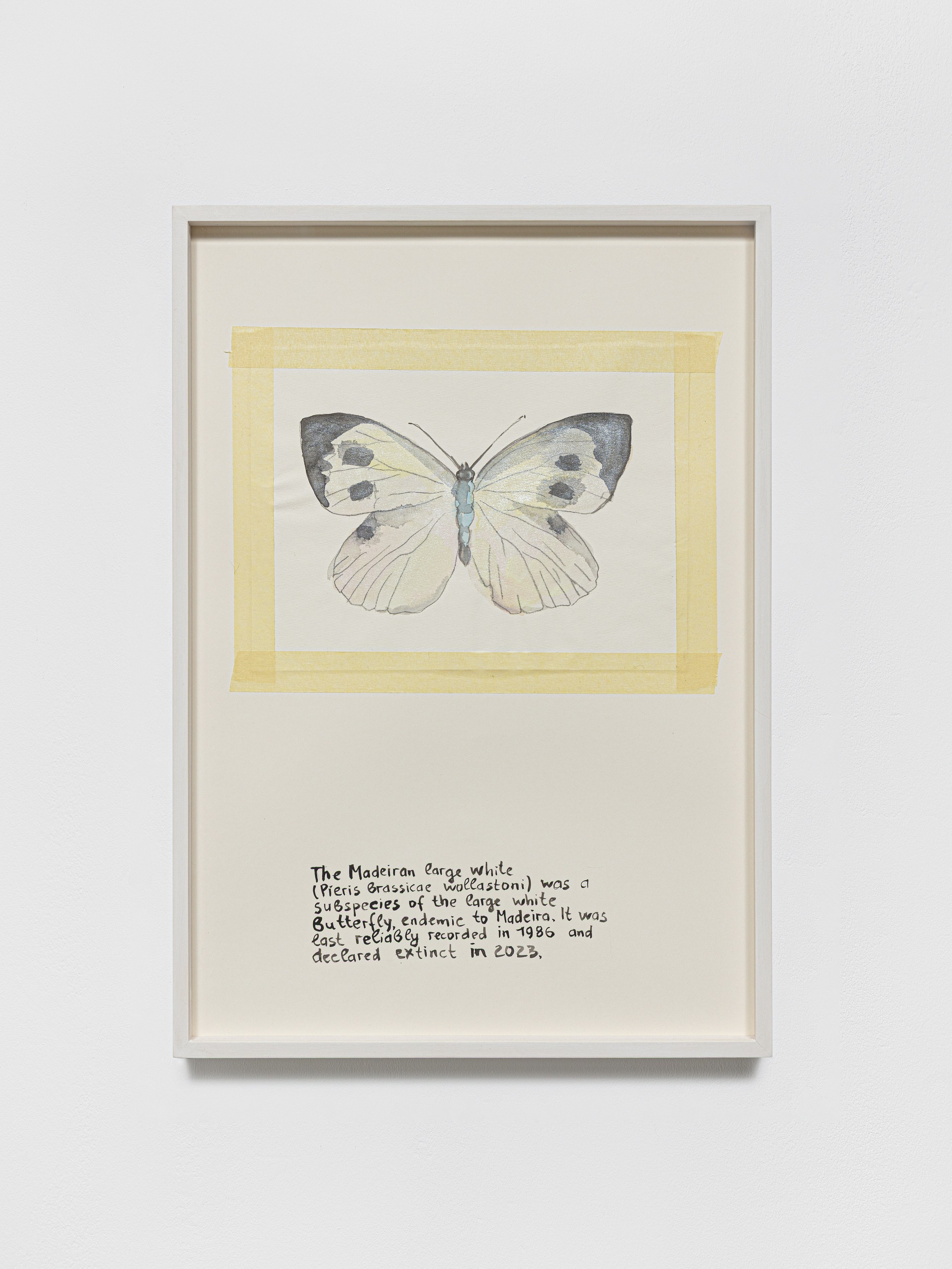 Anna Jermolaewa, You can count on me at Galerie Molitor, photo 46
