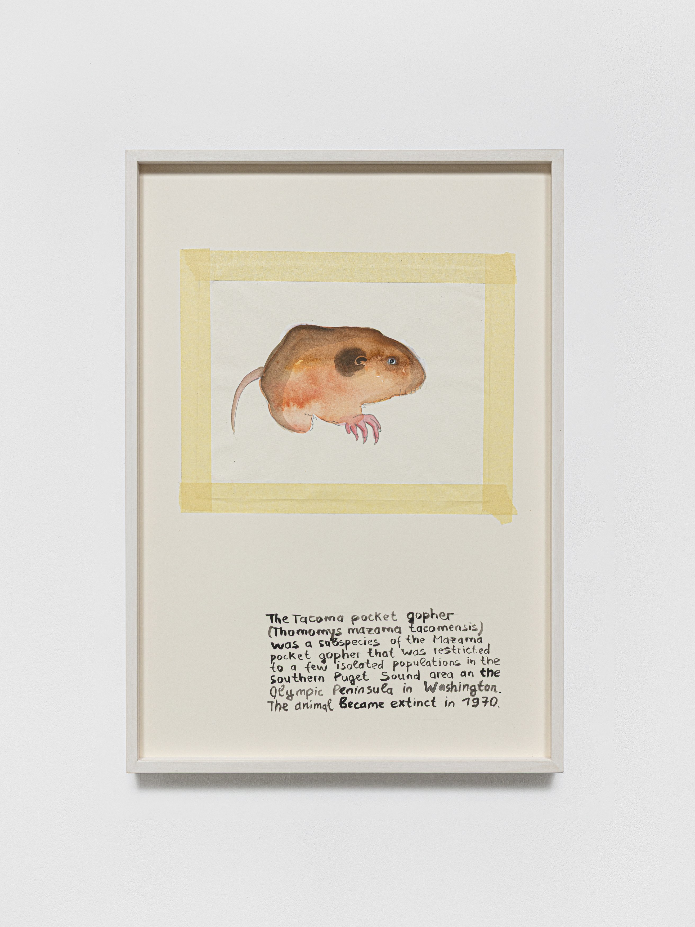 Anna Jermolaewa, You can count on me at Galerie Molitor, photo 47
