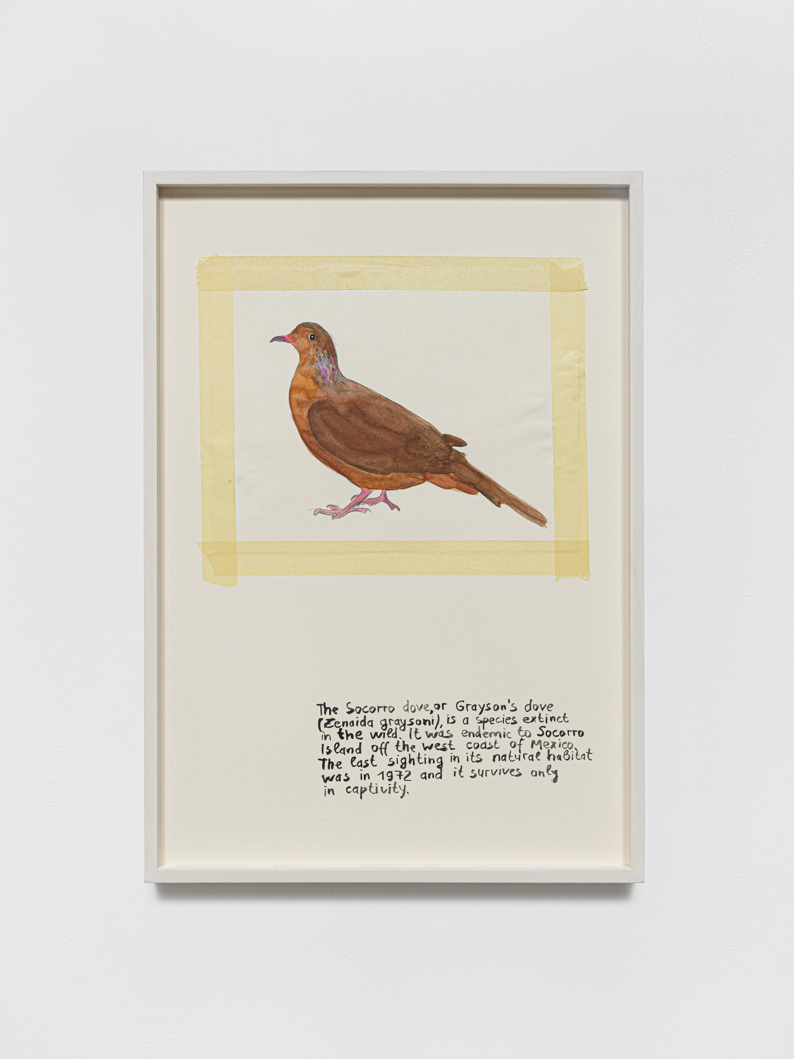 Anna Jermolaewa, You can count on me at Galerie Molitor, photo 48